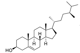 Life 13 00380 i029 Life 13 00380 i029