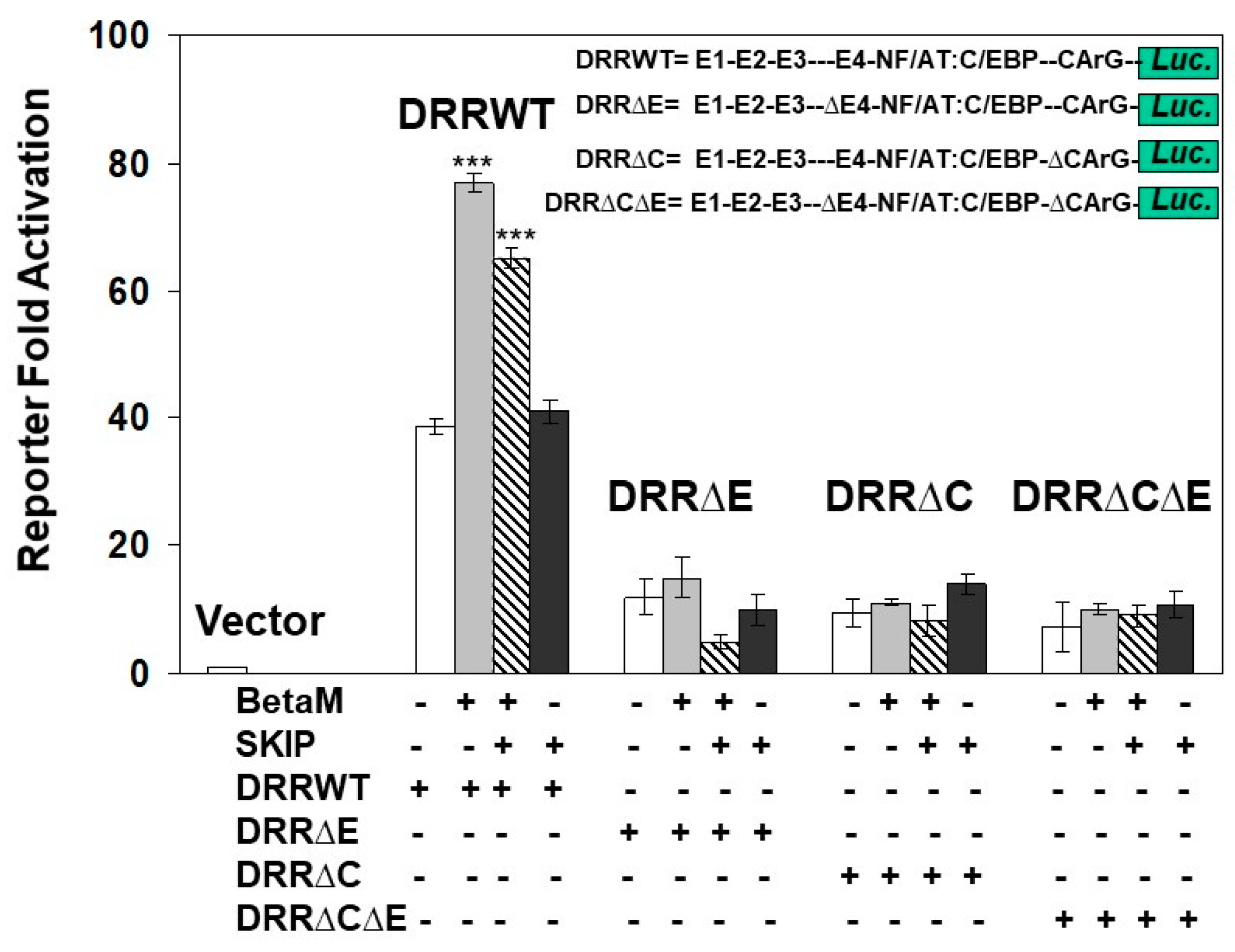 Life 13 00414 g007 Life 13 00414 g007