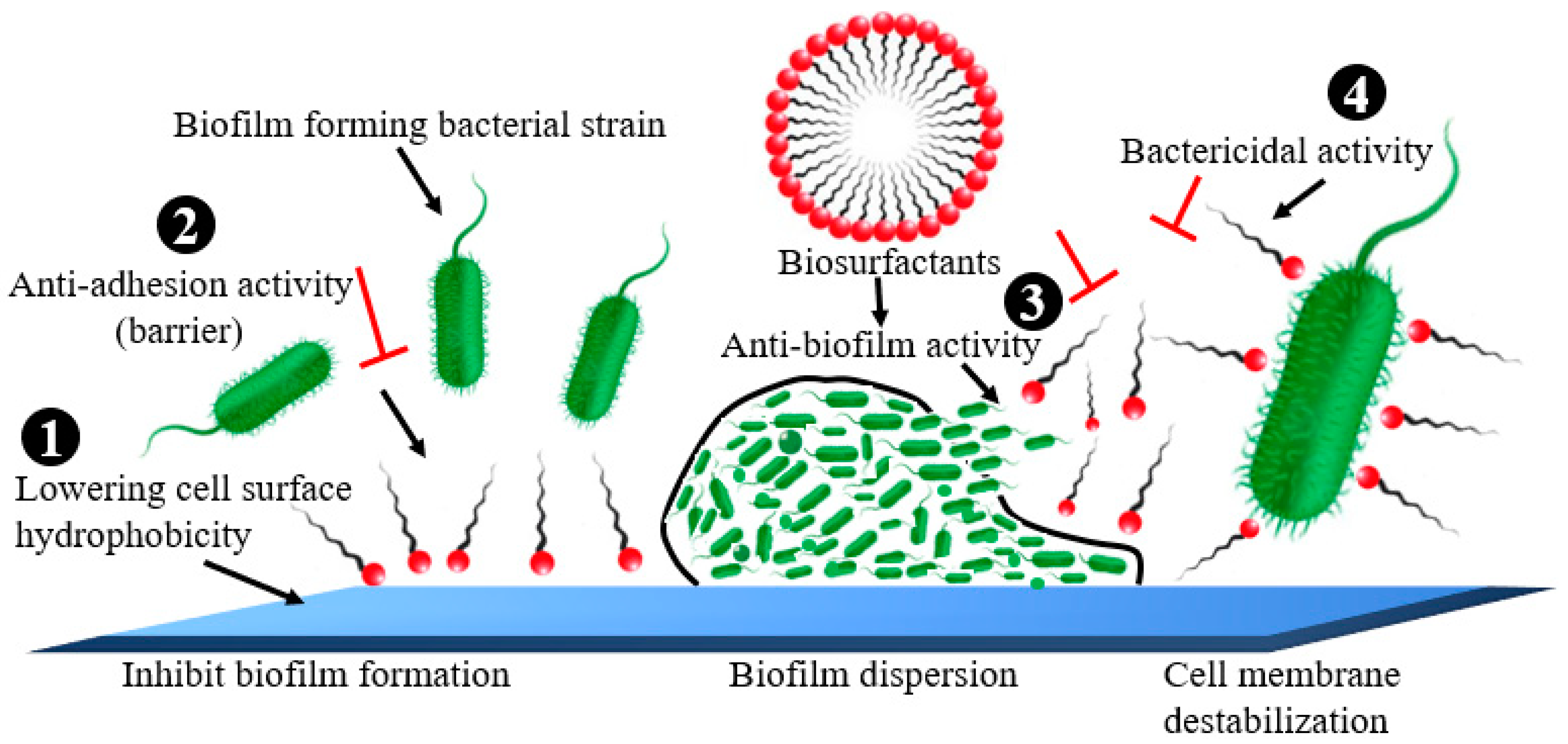 Life | Free Full-Text | Beyond The Risk Of Biofilms: An Up-and-Coming ...