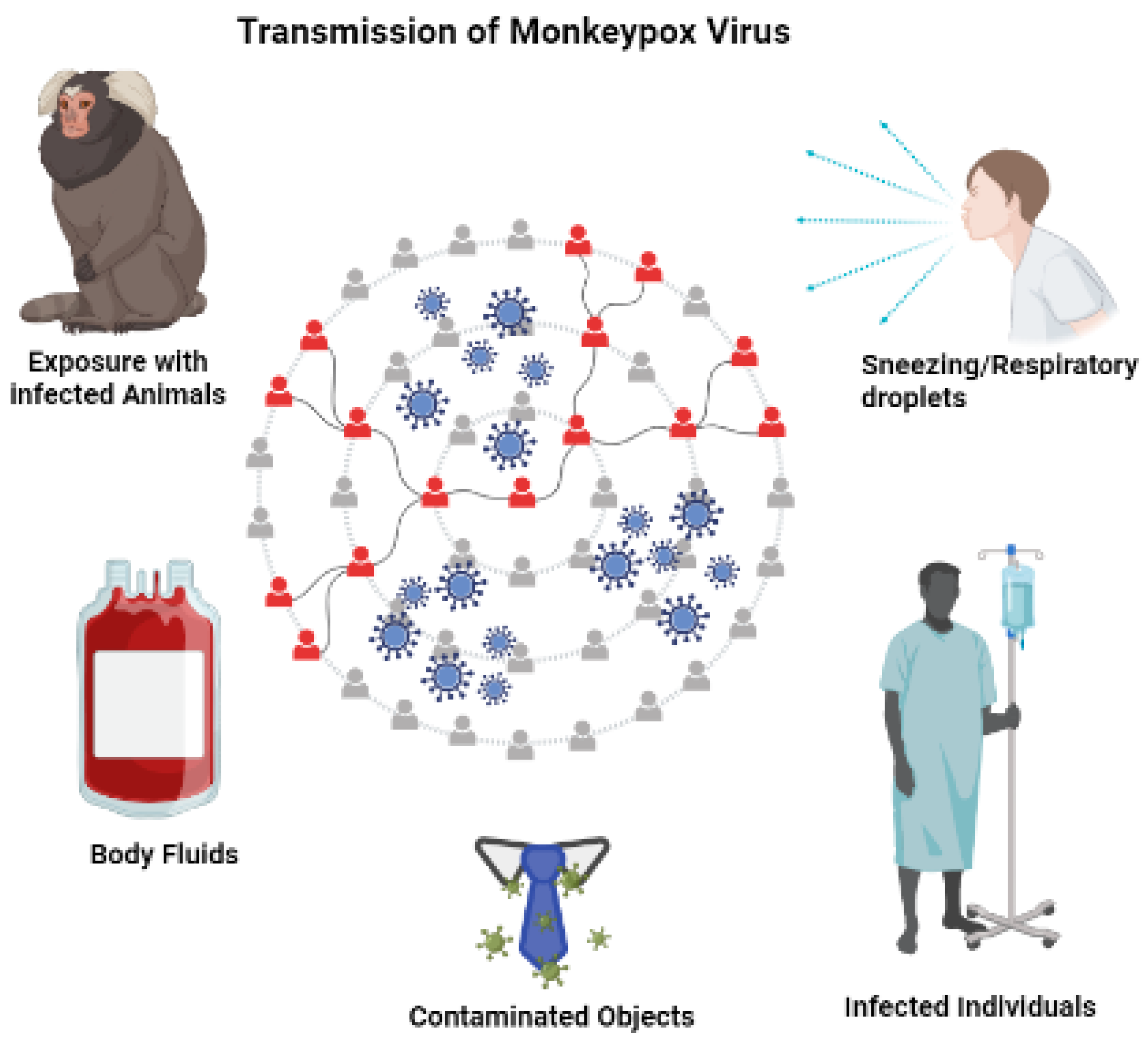 Kinetics of viral DNA in body fluids and antibody response in patients with  acute Monkeypox virus infection - ScienceDirect