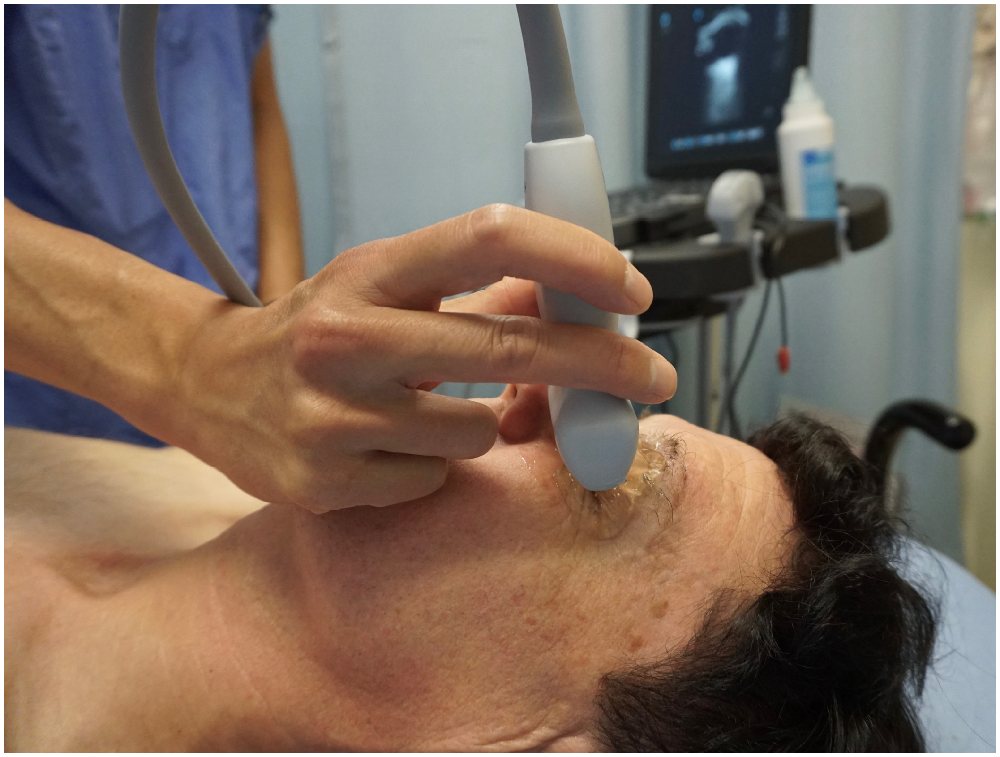 Life 13 00531 g002 Life 13 00531 g002