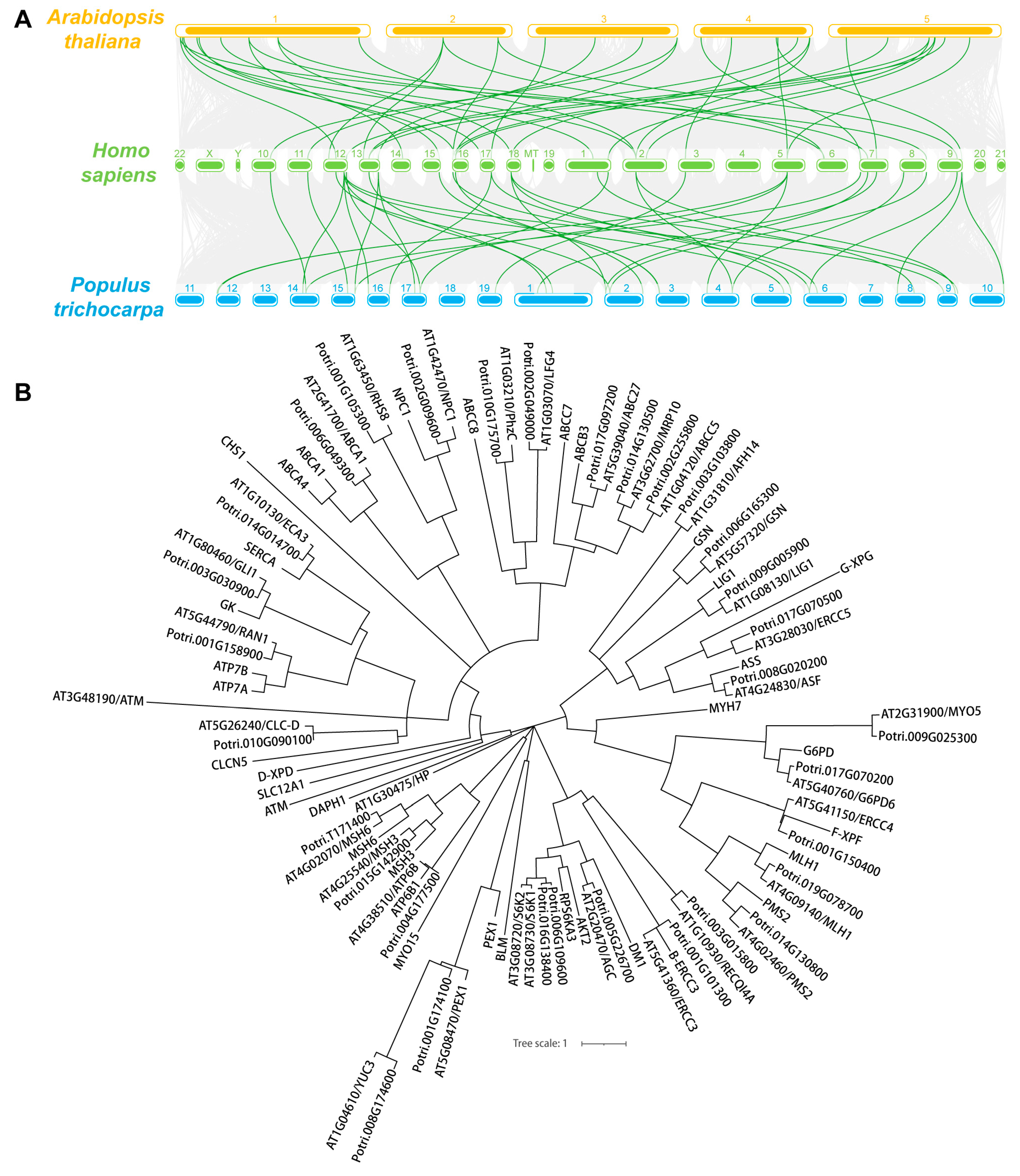 Life 13 00559 g001 Life 13 00559 g001
