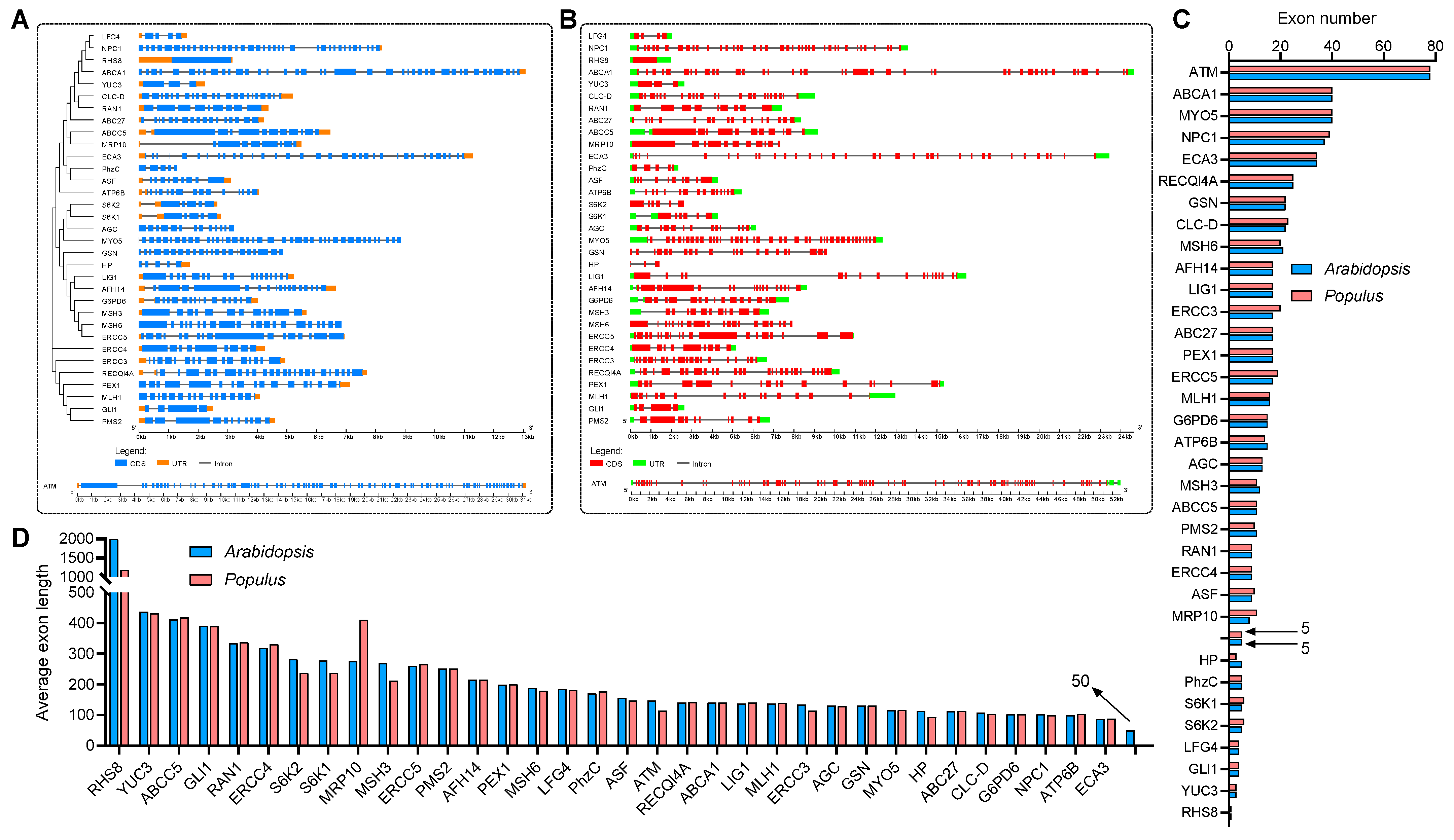 Life 13 00559 g002 Life 13 00559 g002