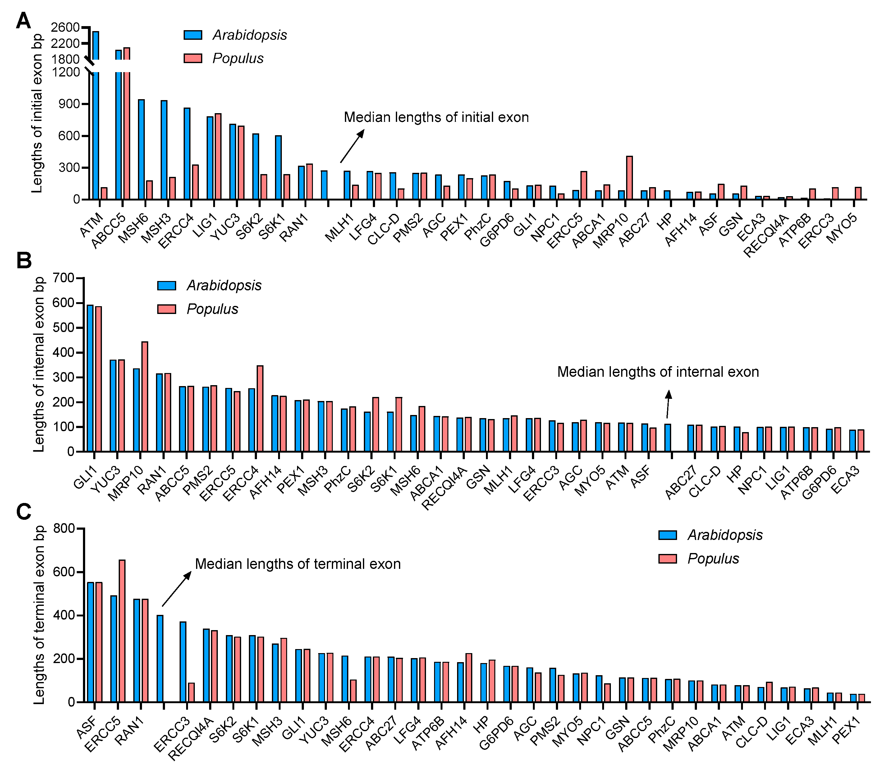 Life 13 00559 g003 Life 13 00559 g003