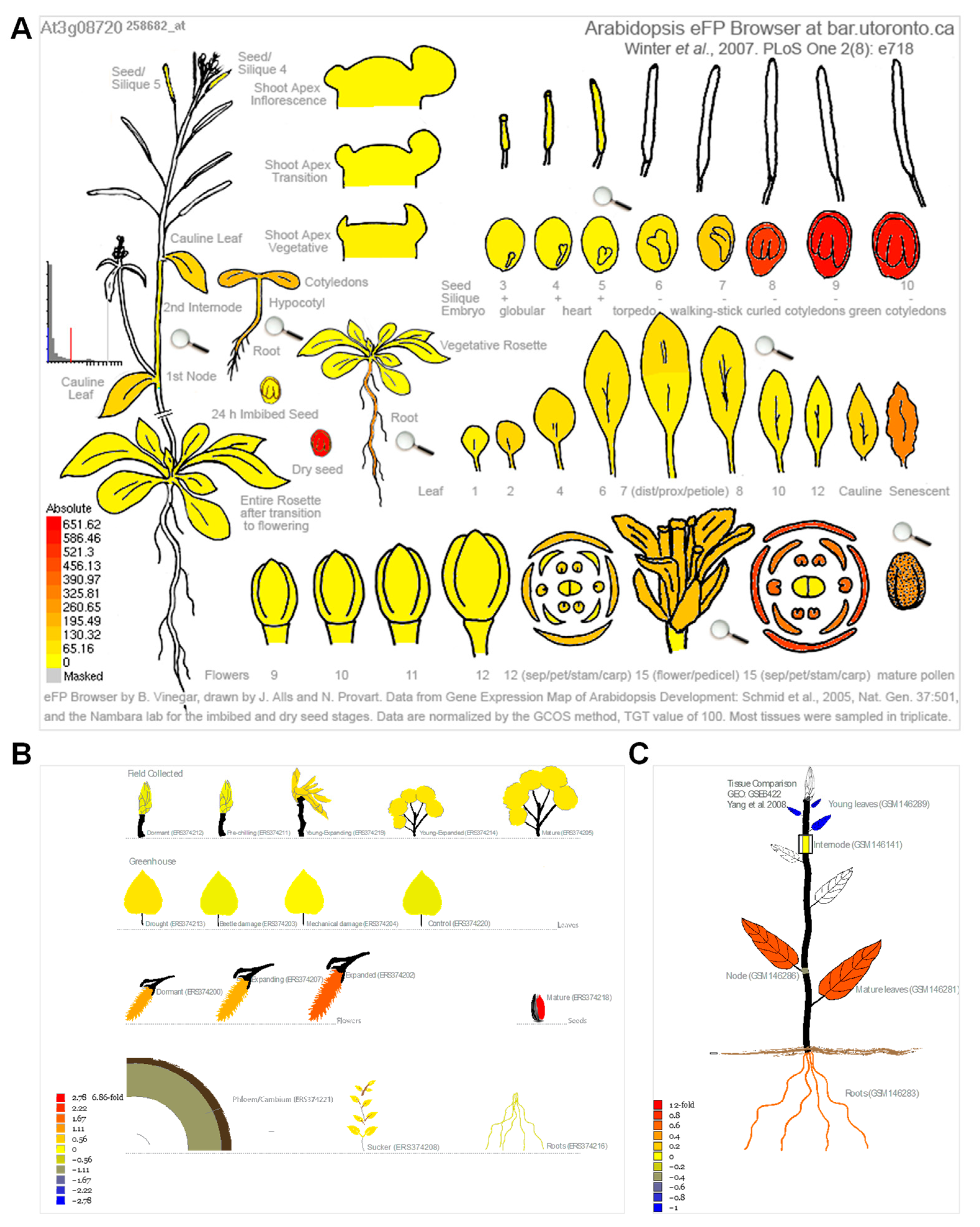 Life 13 00559 g005 Life 13 00559 g005