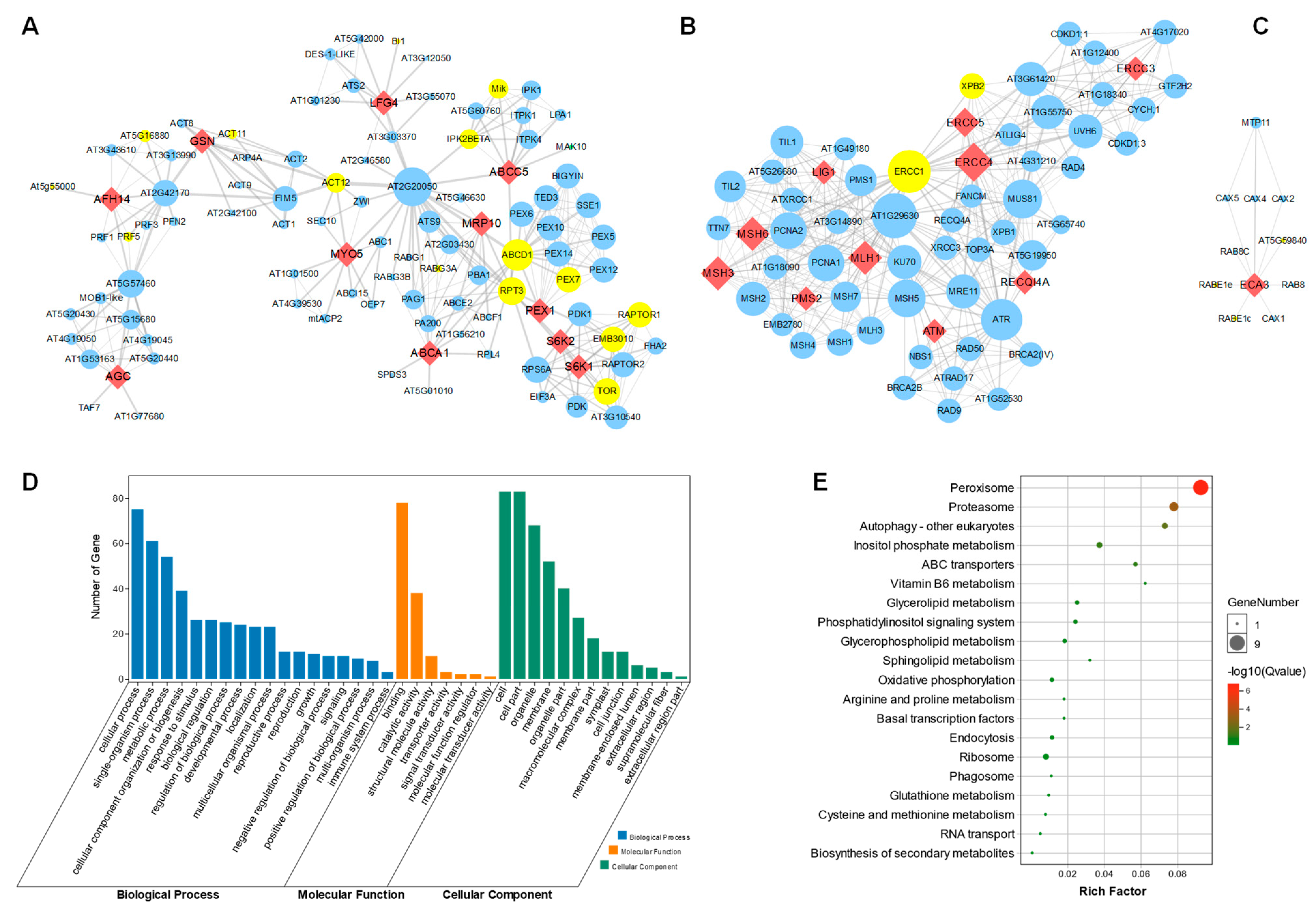 Life 13 00559 g006 Life 13 00559 g006