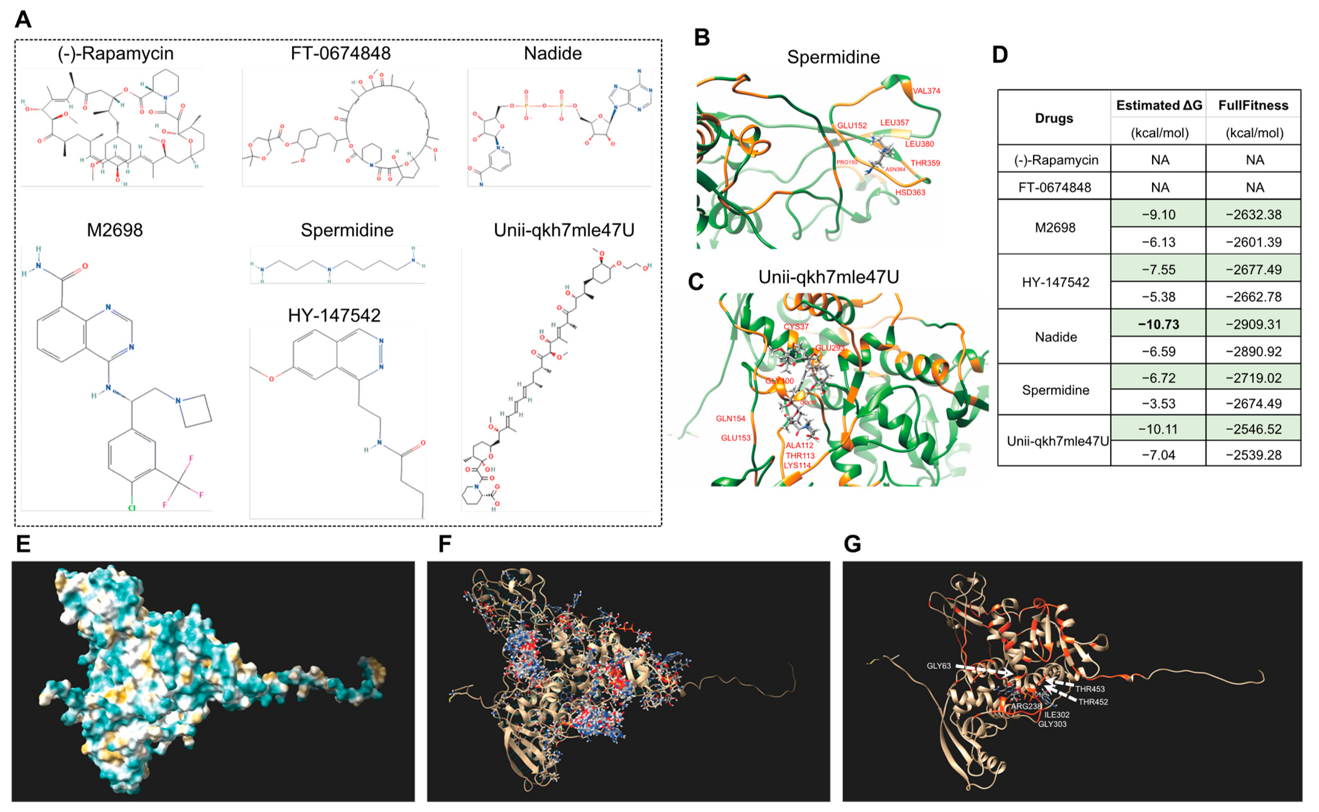 Life 13 00559 g010 Life 13 00559 g010