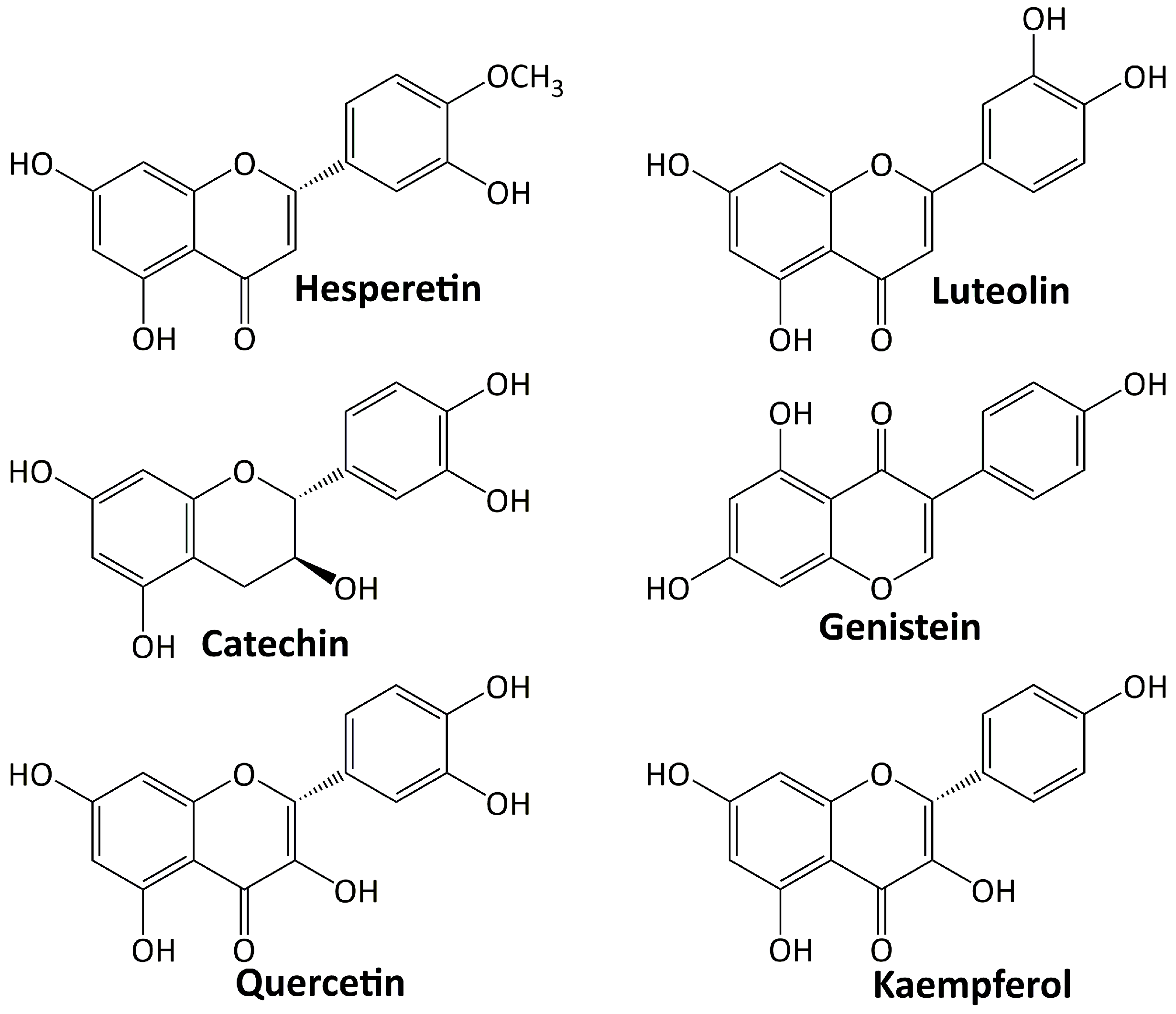 Life 13 00560 g003 Life 13 00560 g003