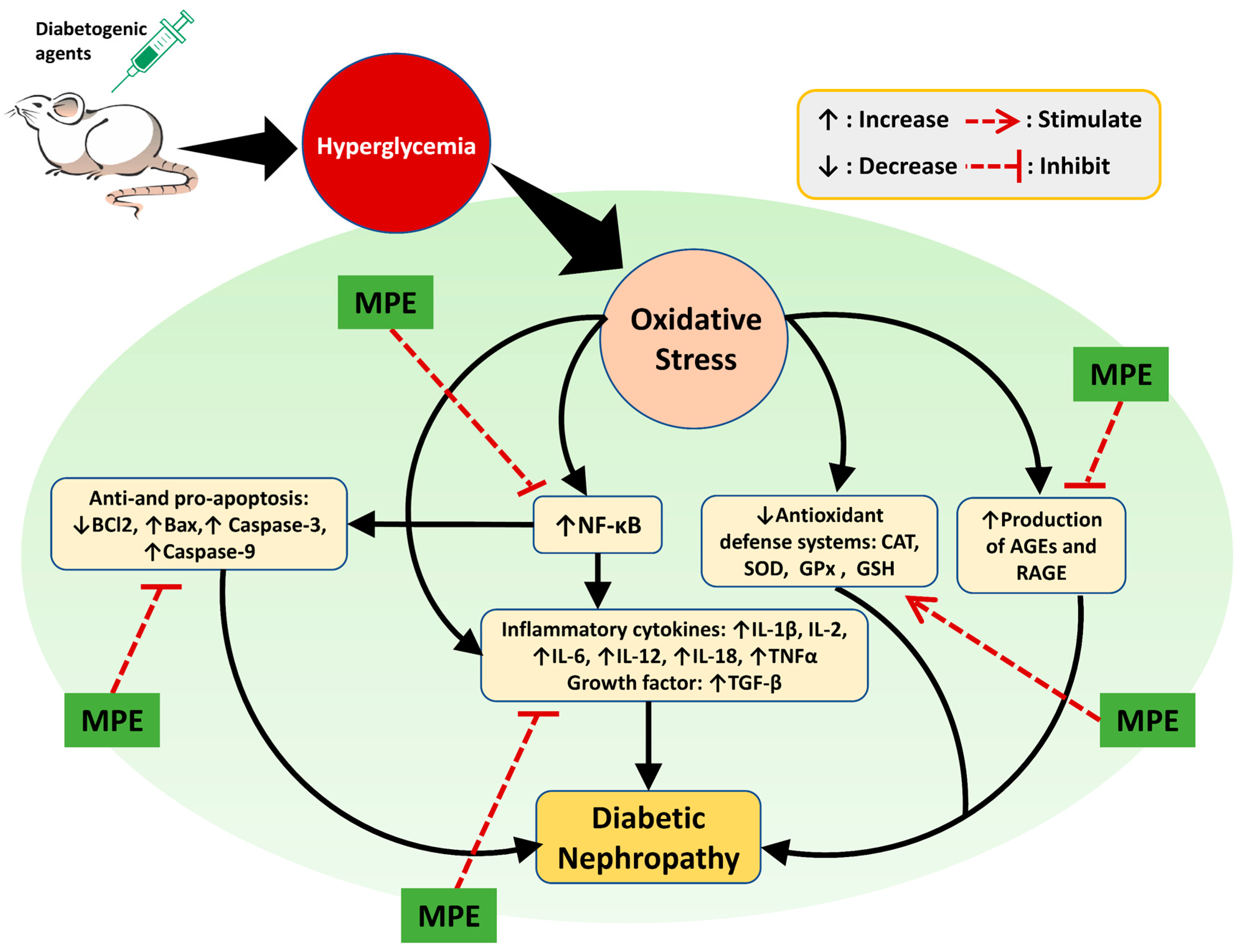Life 13 00560 g006 Life 13 00560 g006