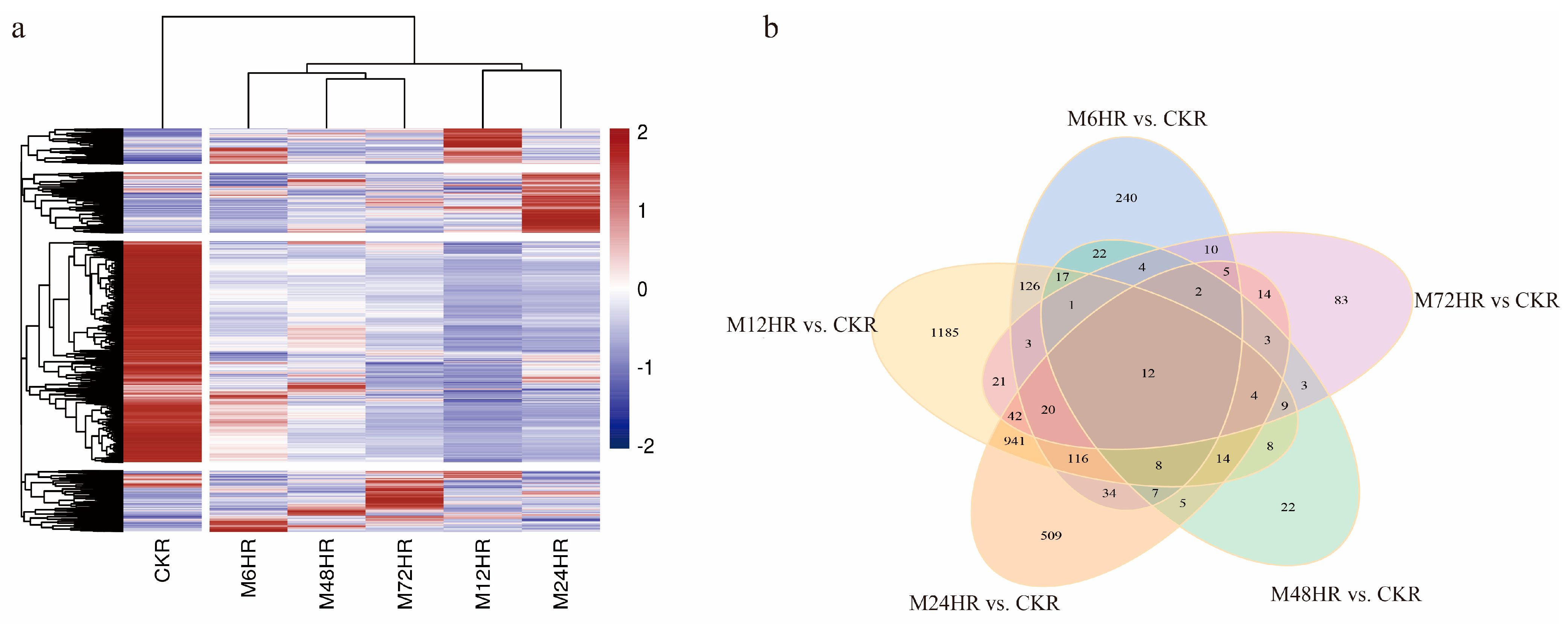 Life 13 00563 g002 Life 13 00563 g002