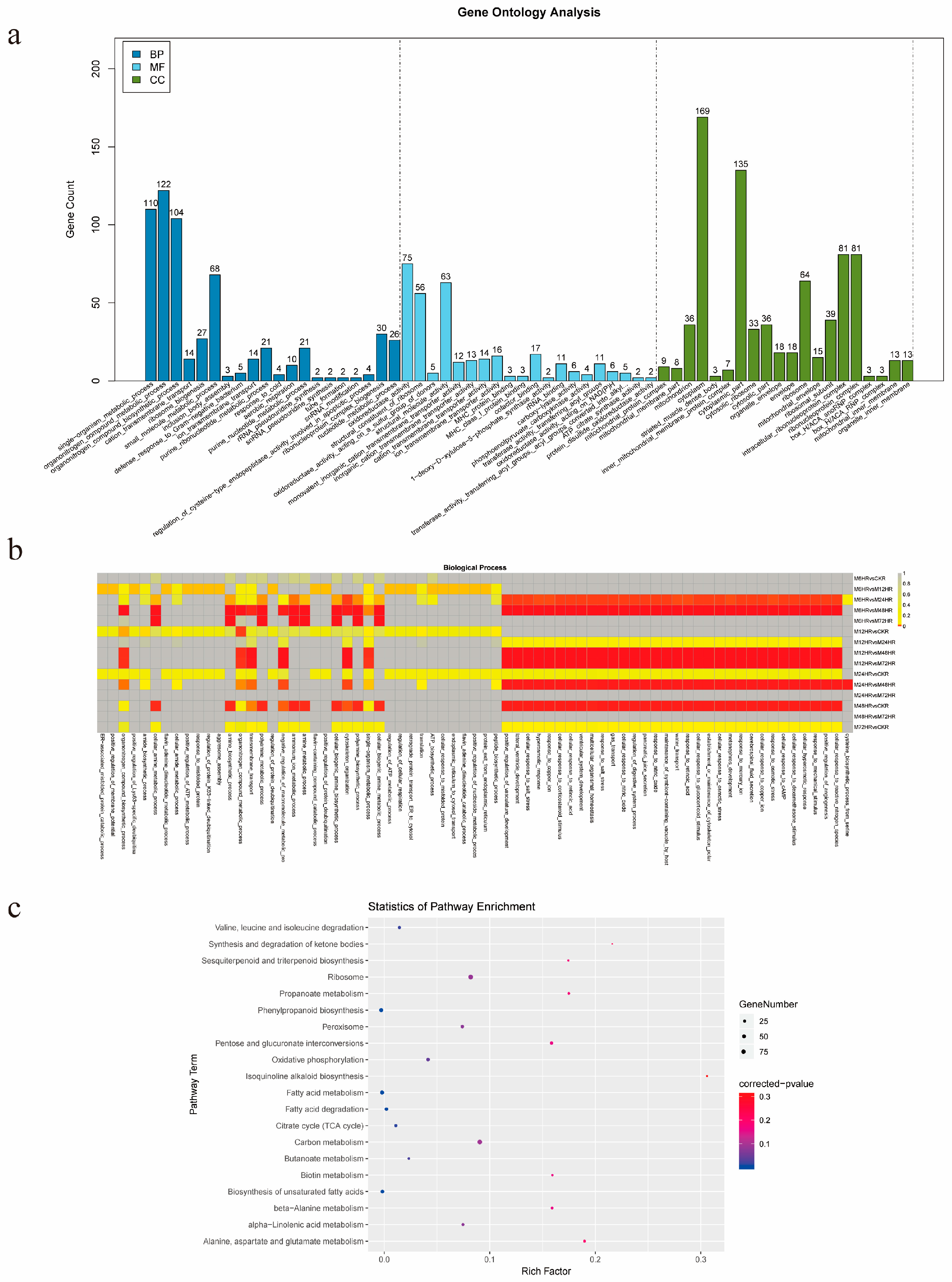 Life 13 00563 g003 Life 13 00563 g003