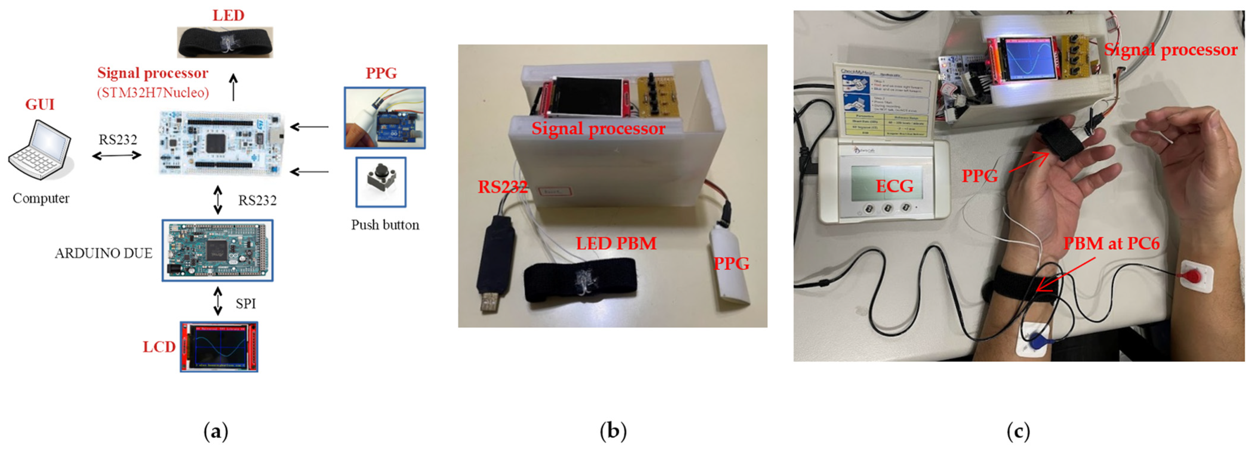 https://www.mdpi.com/life/life-13-00564/article_deploy/html/images/life-13-00564-g001.png