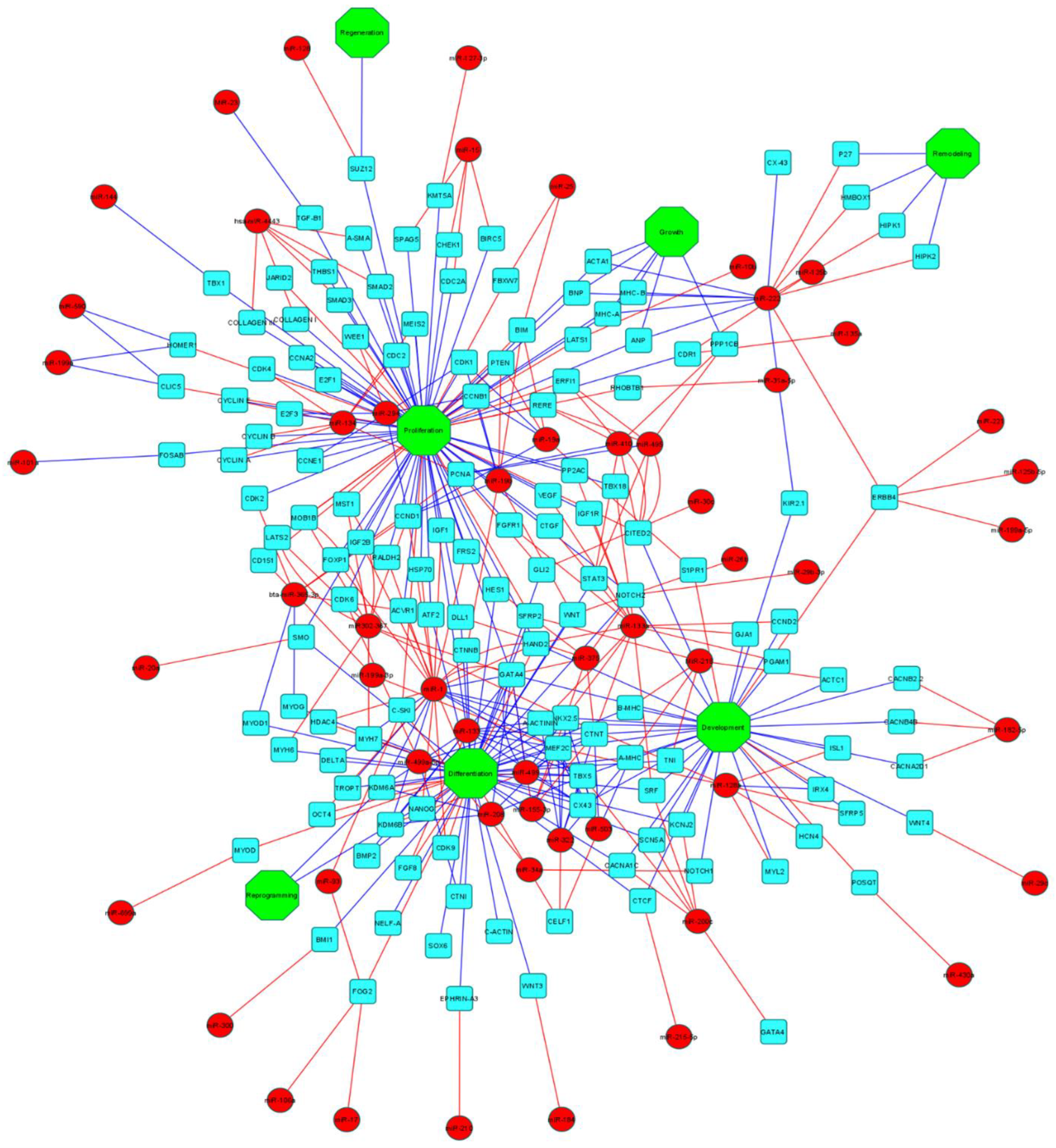 Life | Free Full-Text | Epigenetic Modification Factors and