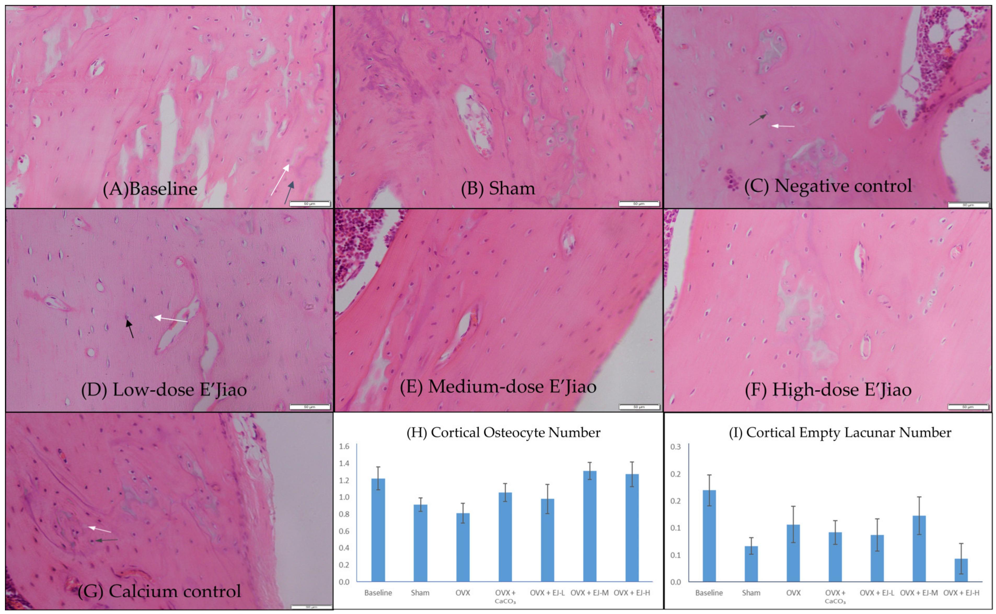 Life 13 00570 g002 Life 13 00570 g002