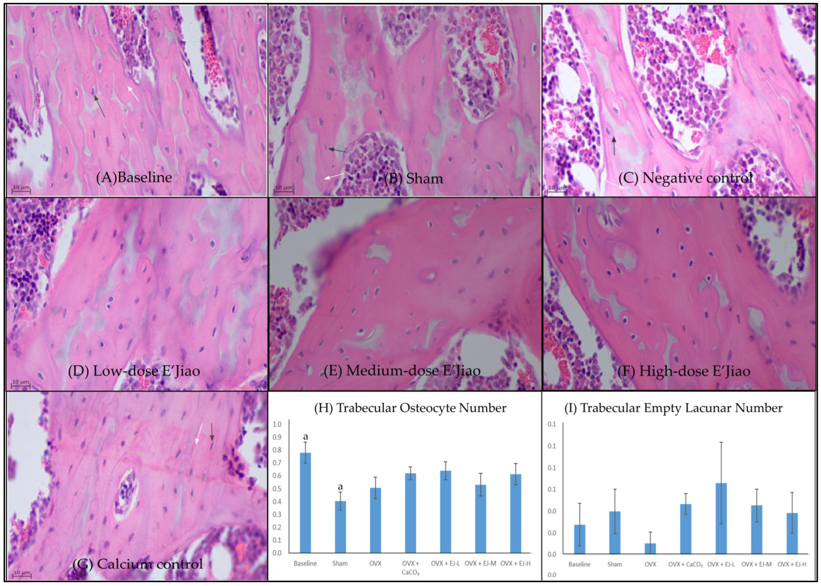 Life 13 00570 g003 Life 13 00570 g003