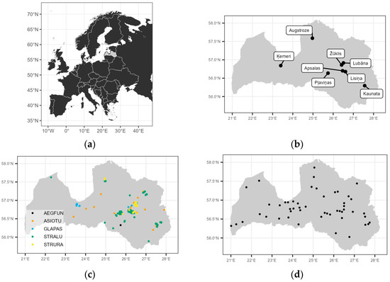 PDF) BIRDS OF PREY IN UKRAINE: THEIR STATUS AND DISTRIBUTION