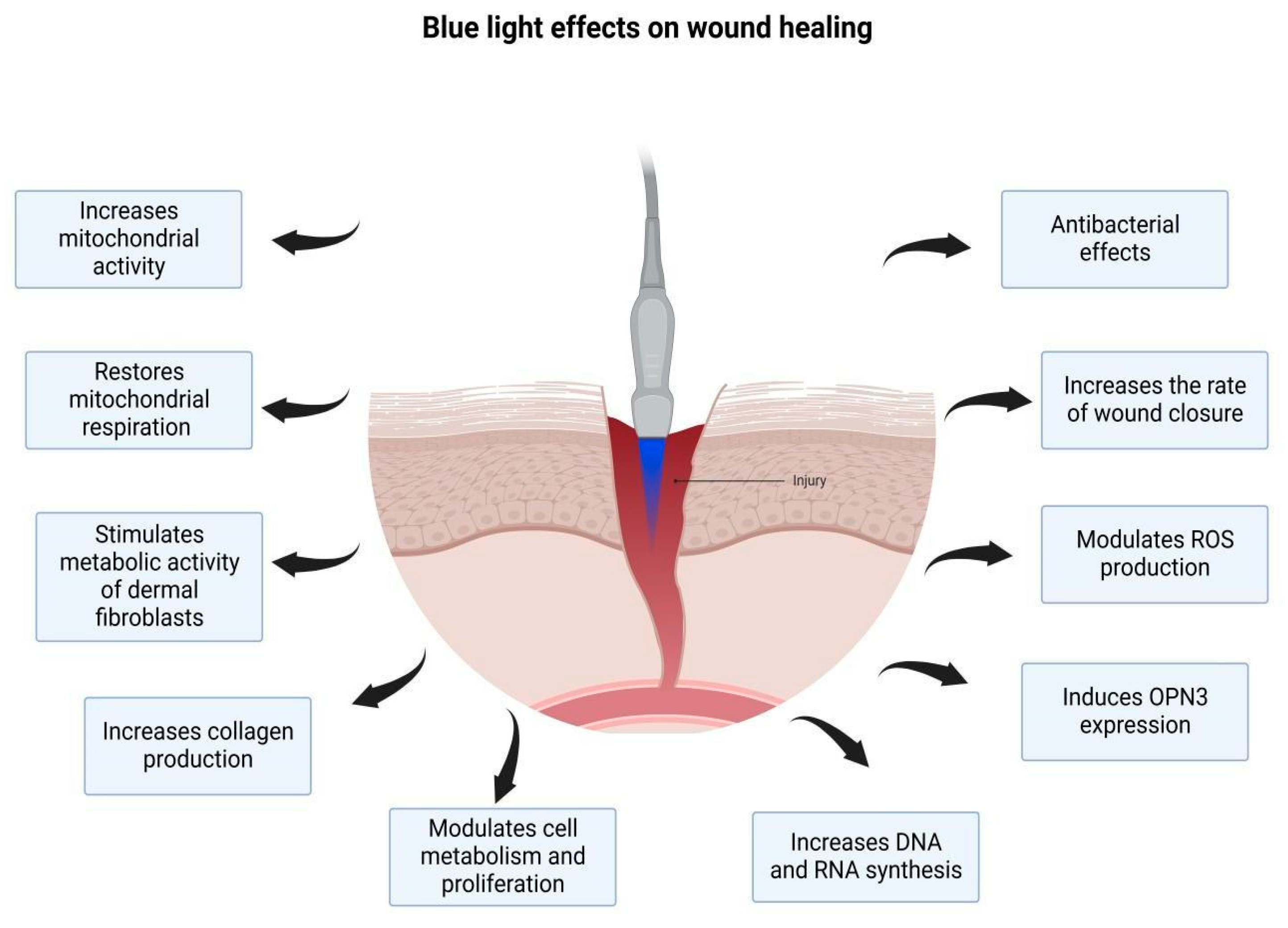 Life | Free Full-Text | Photobiomodulation with Blue Light on