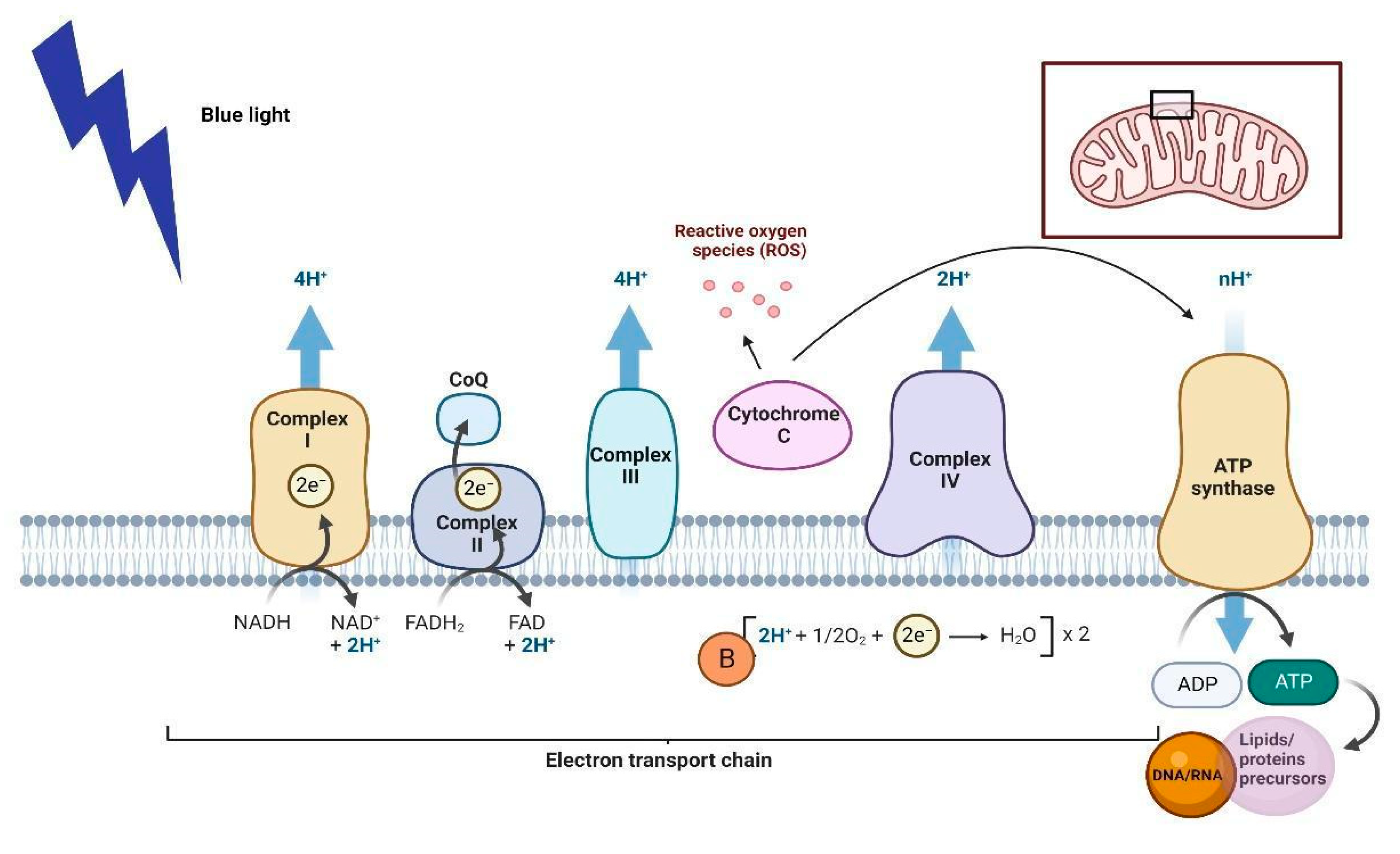 Life 13 00575 g003 Life 13 00575 g003