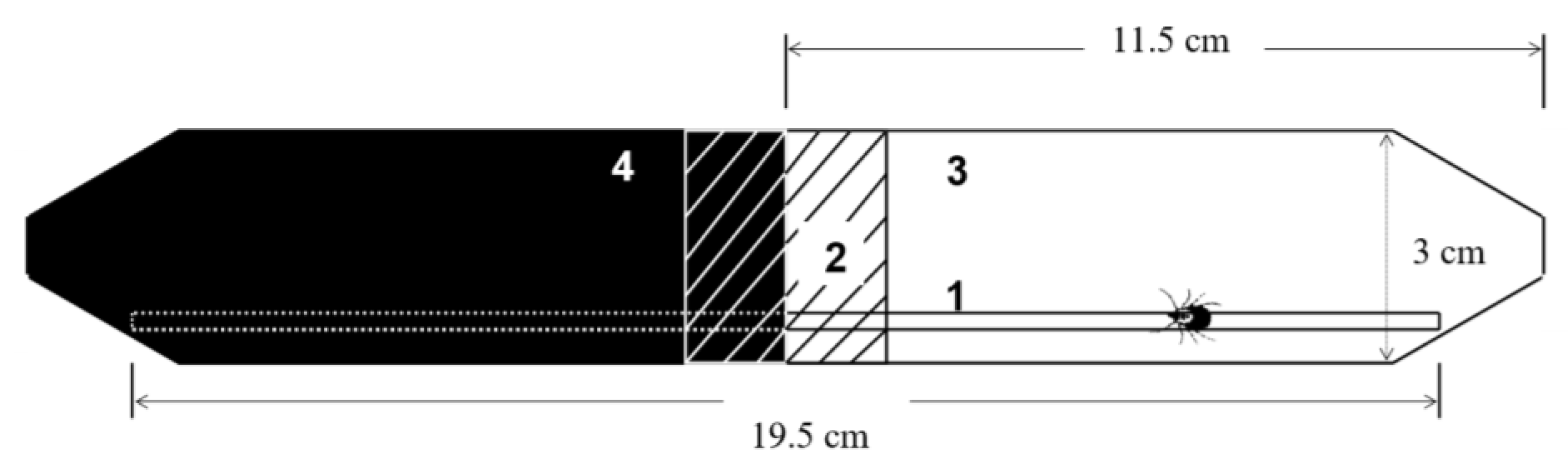 Life 13 00612 g002 Life 13 00612 g002