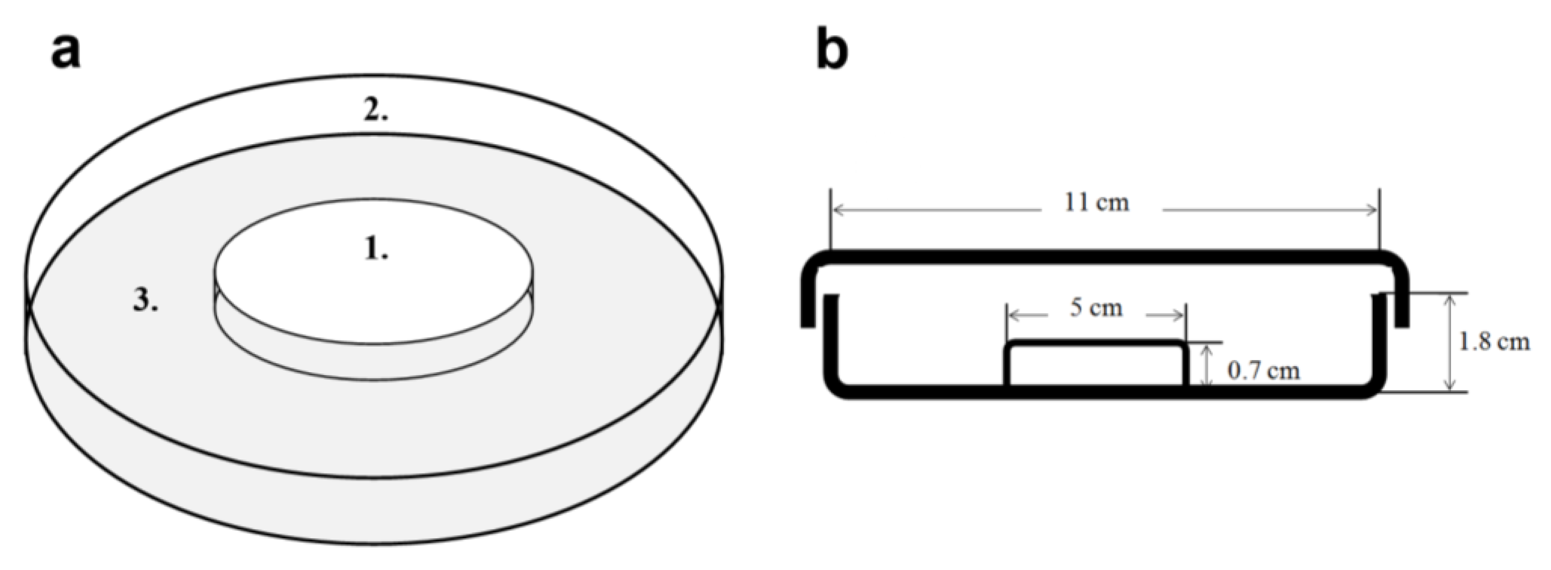 Life 13 00612 g003 Life 13 00612 g003