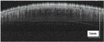 Life 13 00625 i006 Life 13 00625 i006