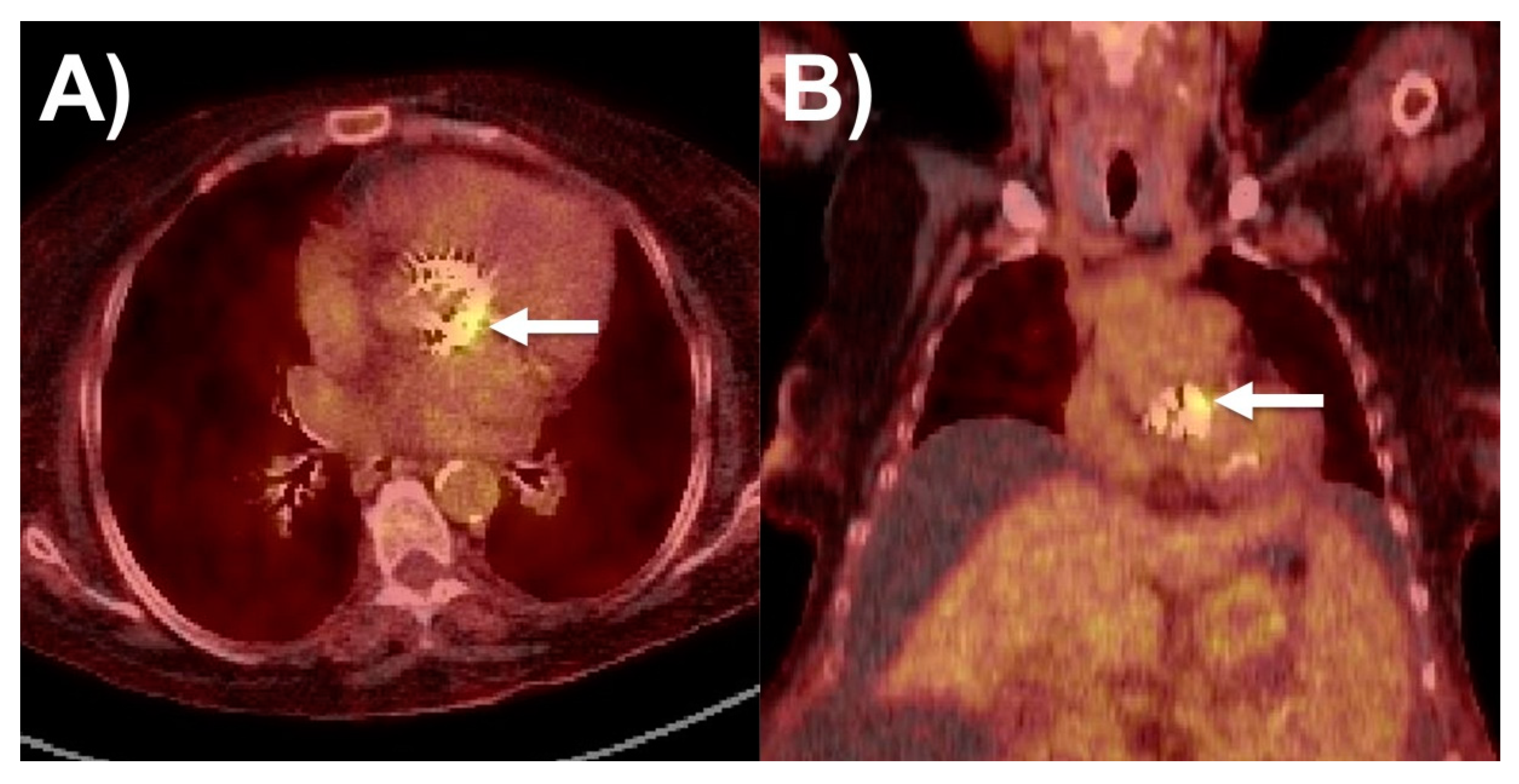 Life 13 00639 g004 Life 13 00639 g004