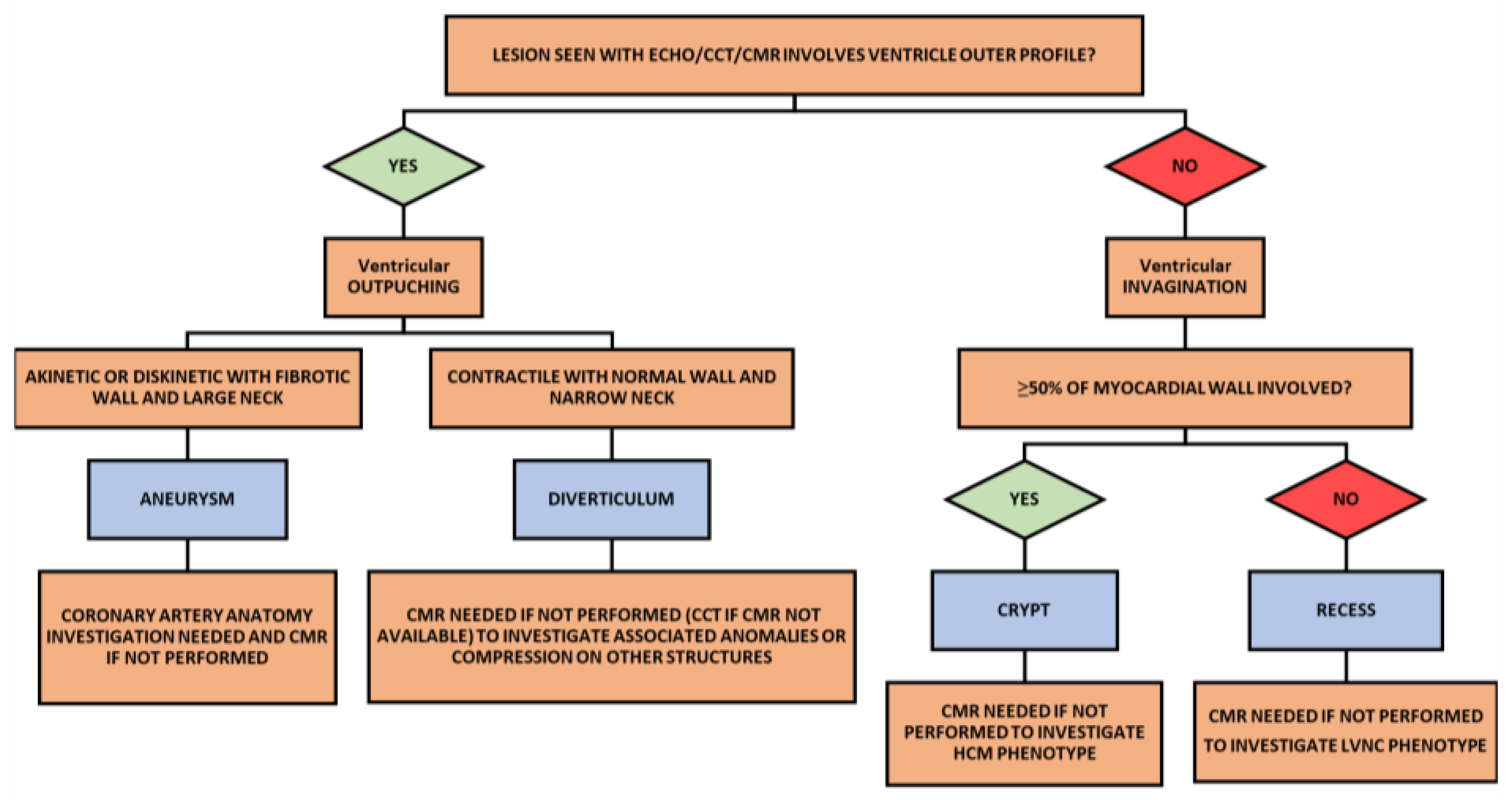 Life 13 00650 g002 Life 13 00650 g002