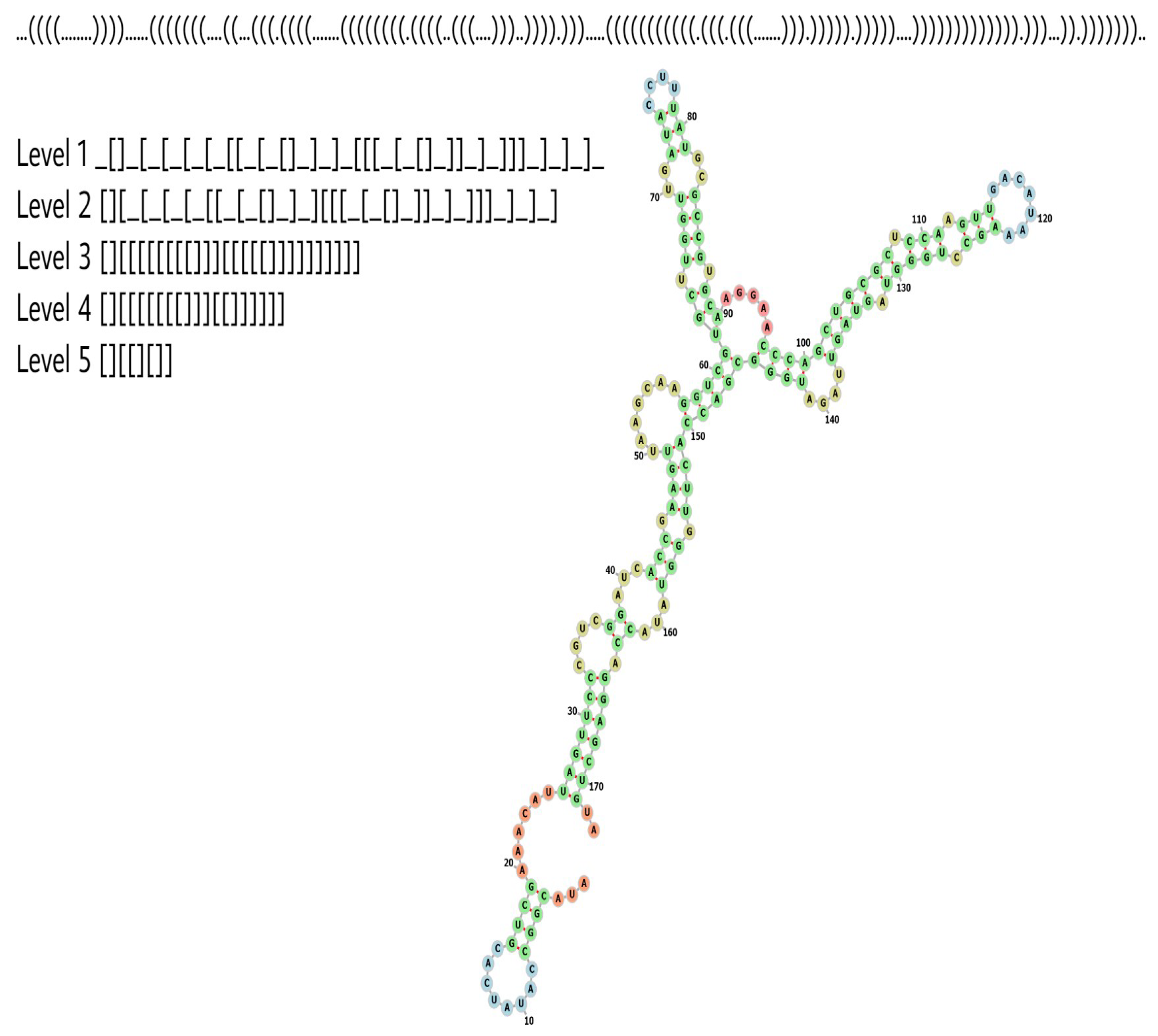 Random And Natural Non-Coding RNA Have Similar Structural Motif ...