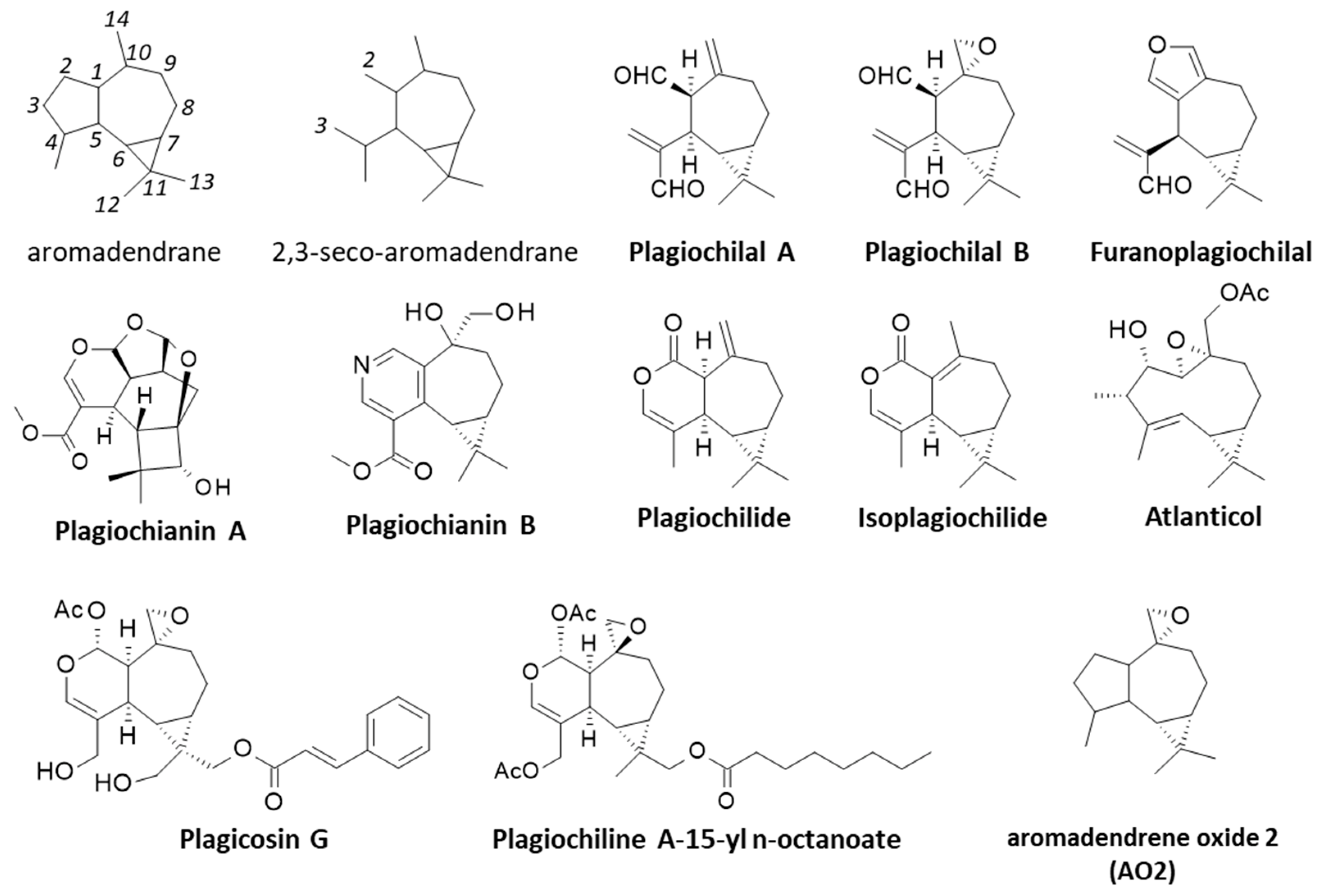 Life 13 00758 g003 Life 13 00758 g003
