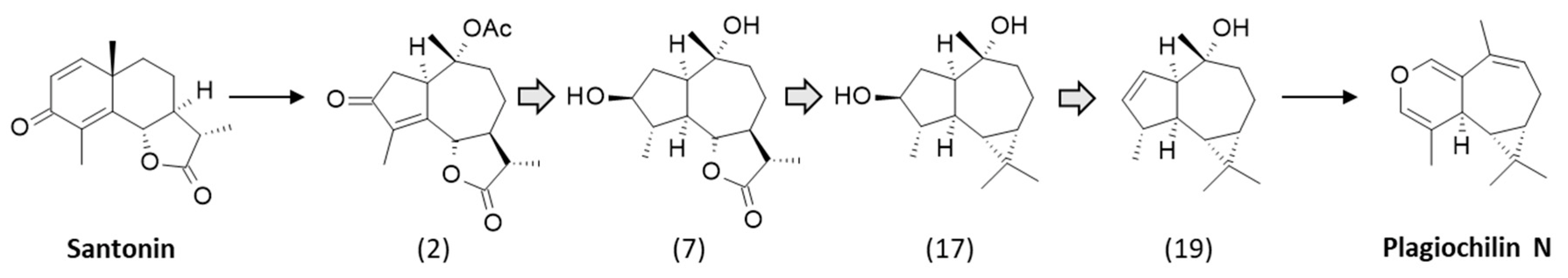 Life 13 00758 g004 Life 13 00758 g004