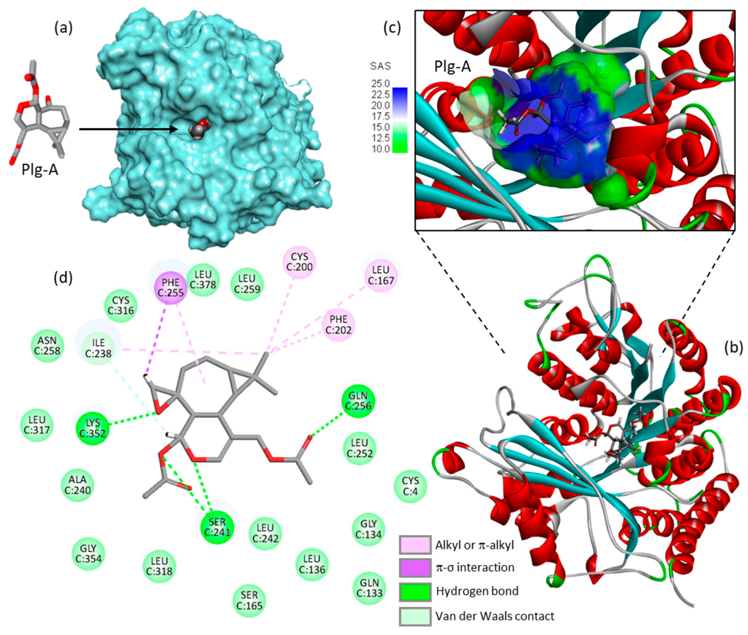 Life 13 00758 g006 Life 13 00758 g006