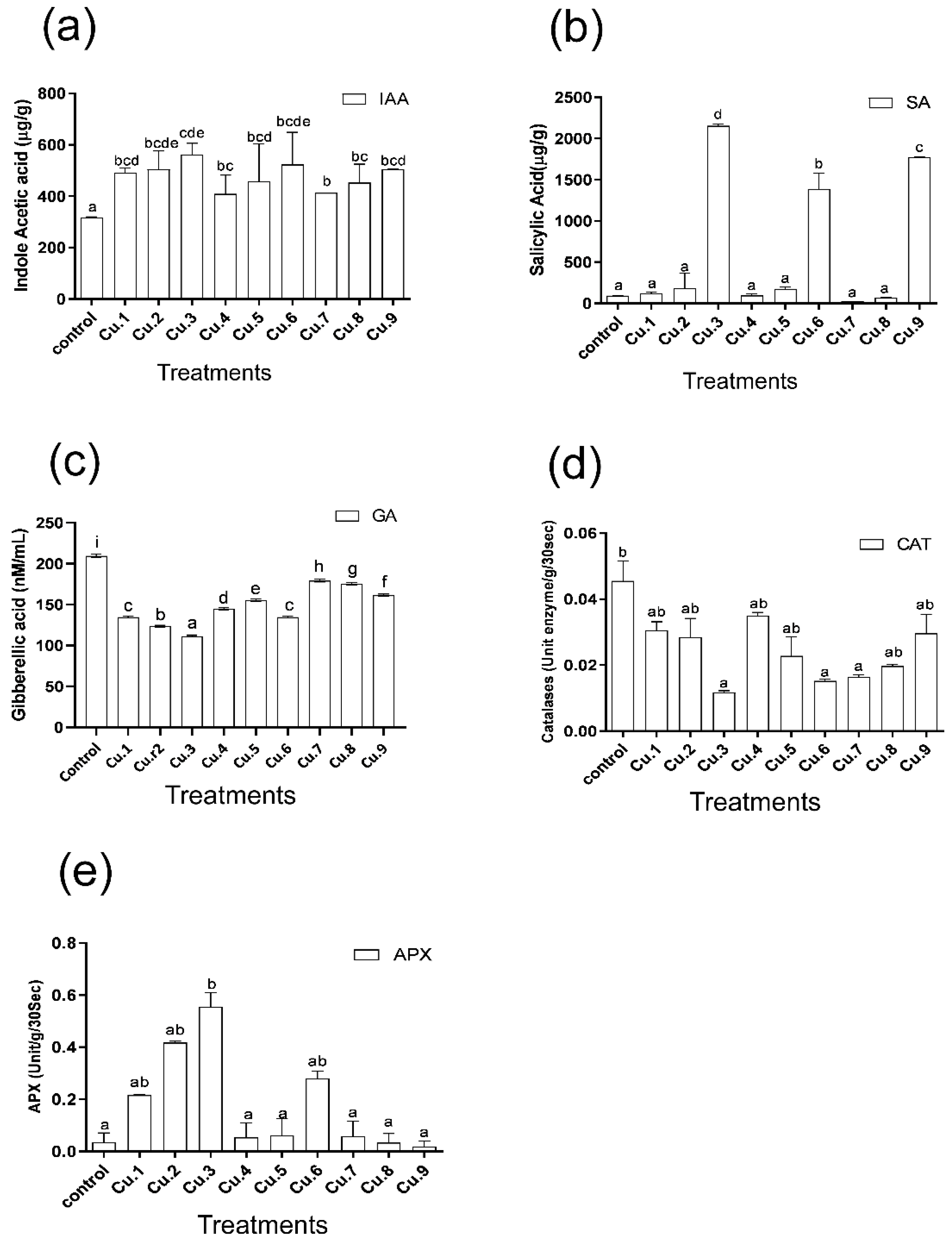 Life 13 00759 g003 Life 13 00759 g003