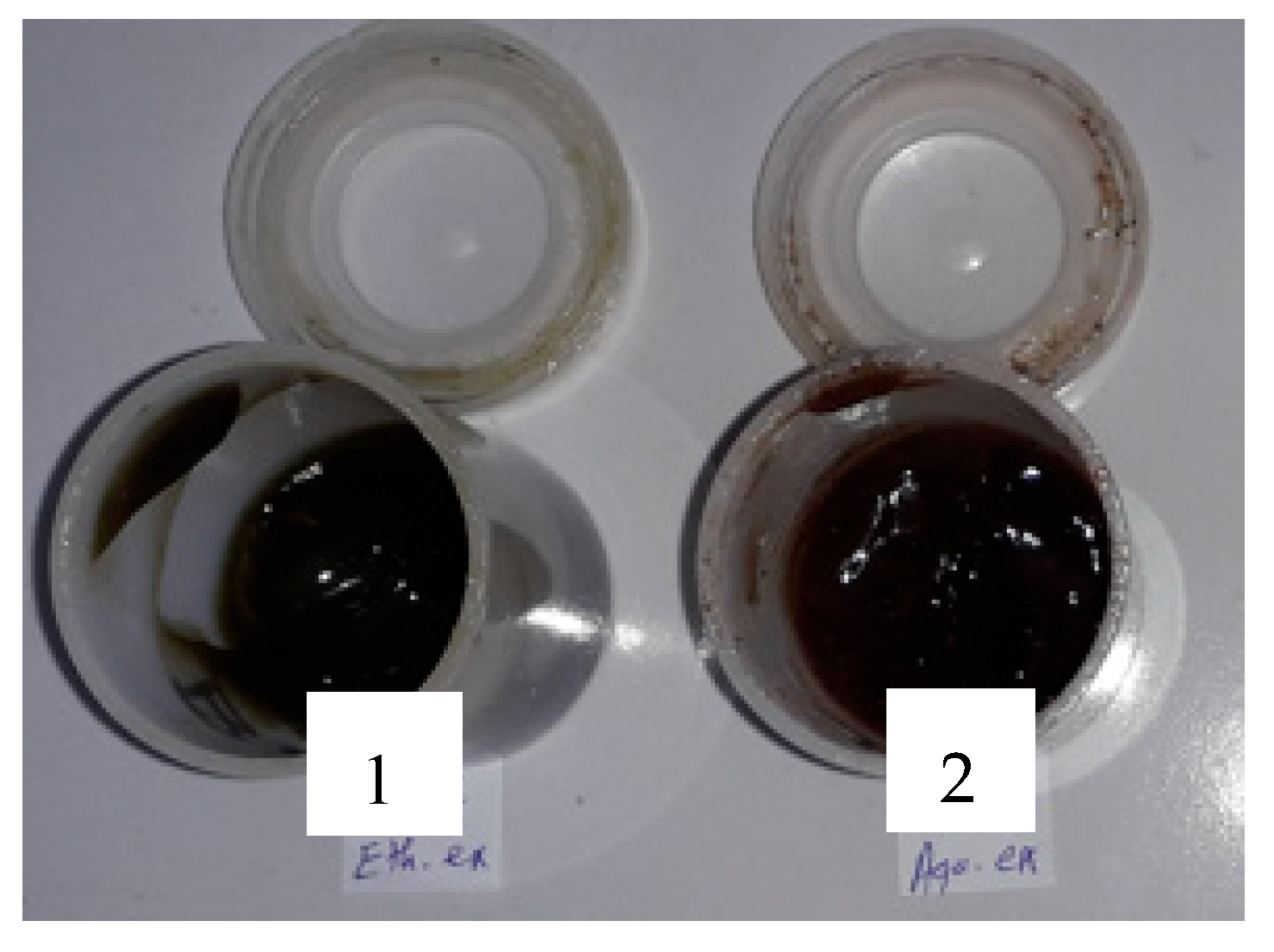 Life 13 00776 g002 Life 13 00776 g002