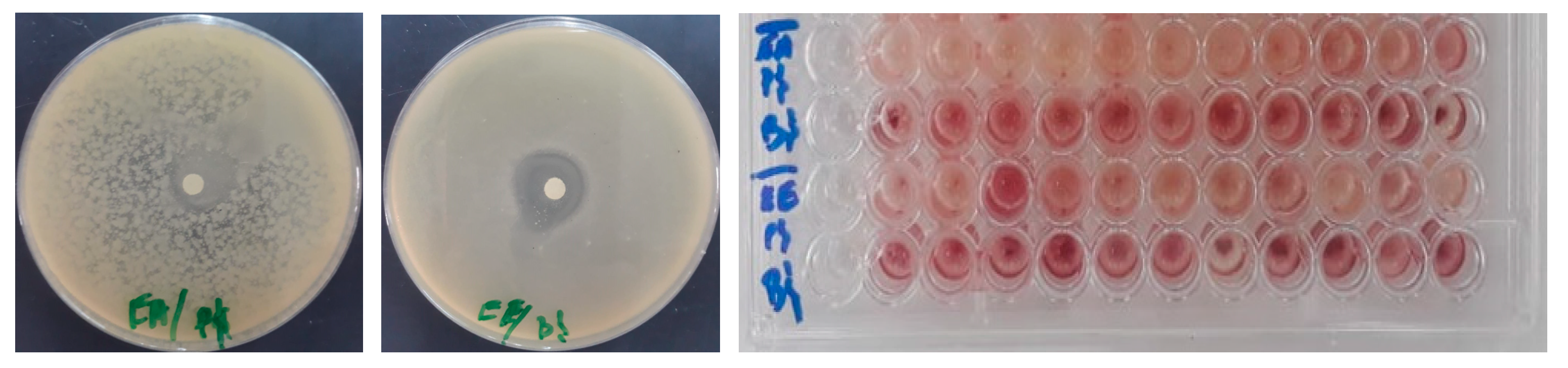 Life 13 00776 g004 Life 13 00776 g004