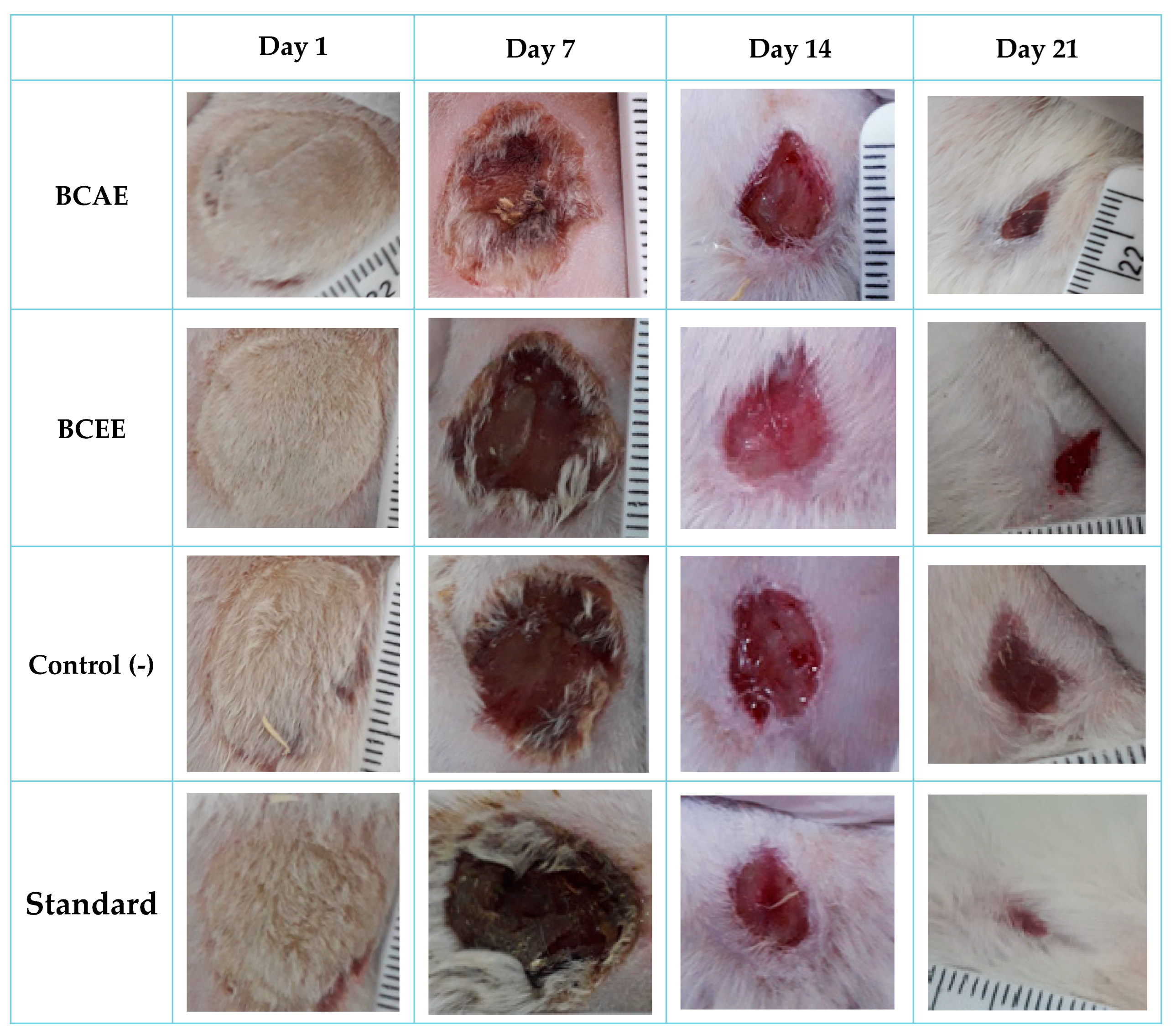 Life 13 00776 g006 Life 13 00776 g006