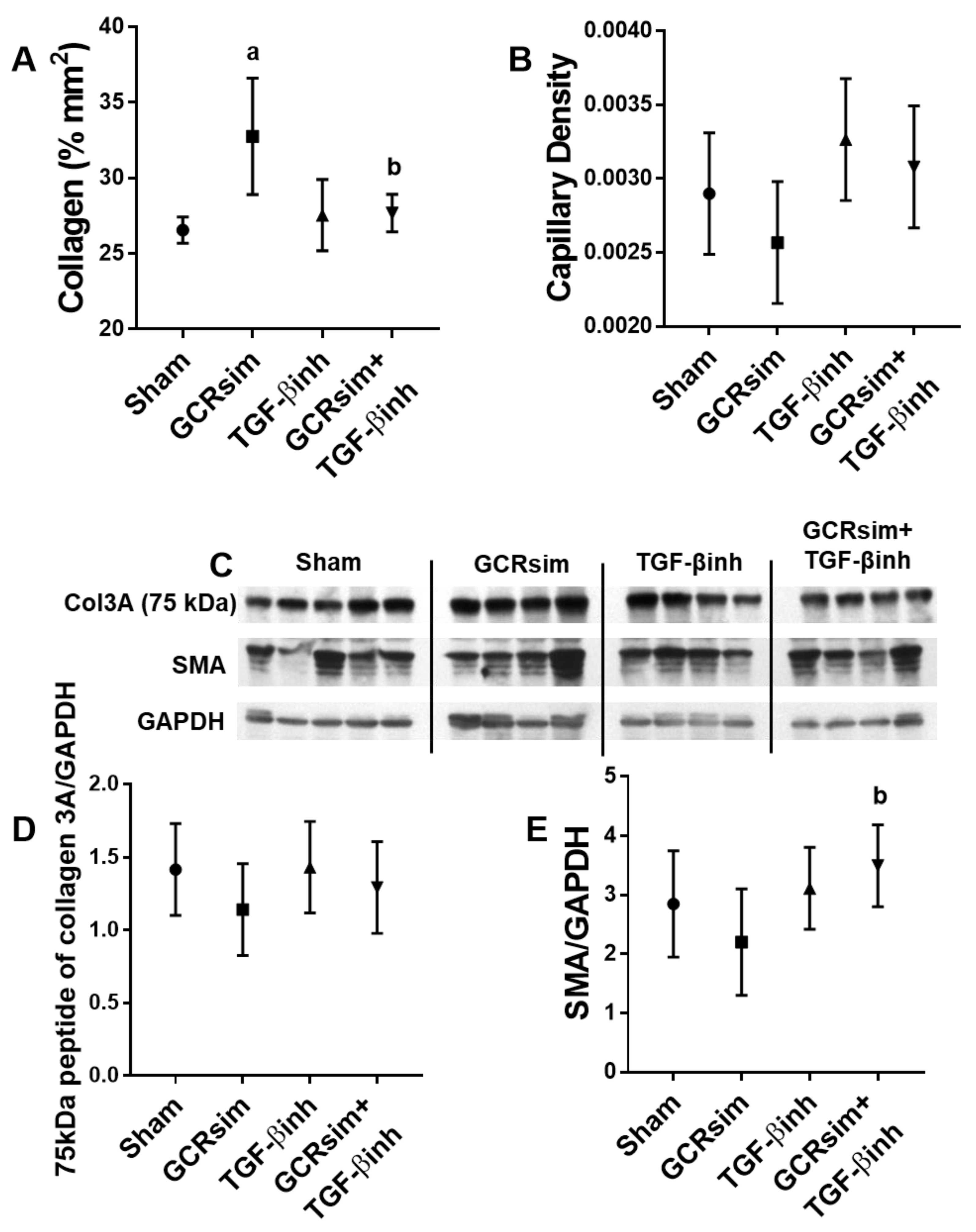 Life 13 00795 g003 Life 13 00795 g003