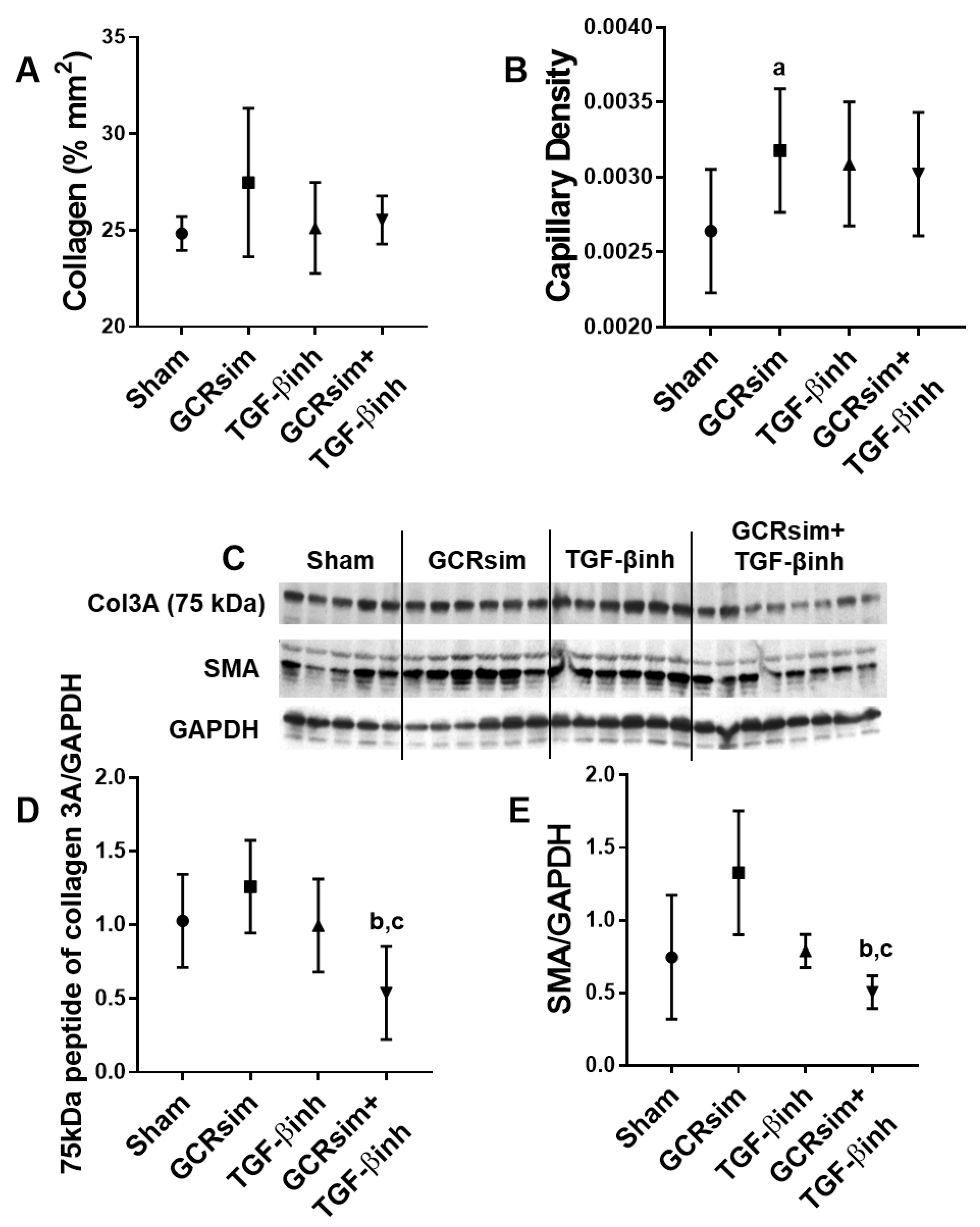 Life 13 00795 g004 Life 13 00795 g004
