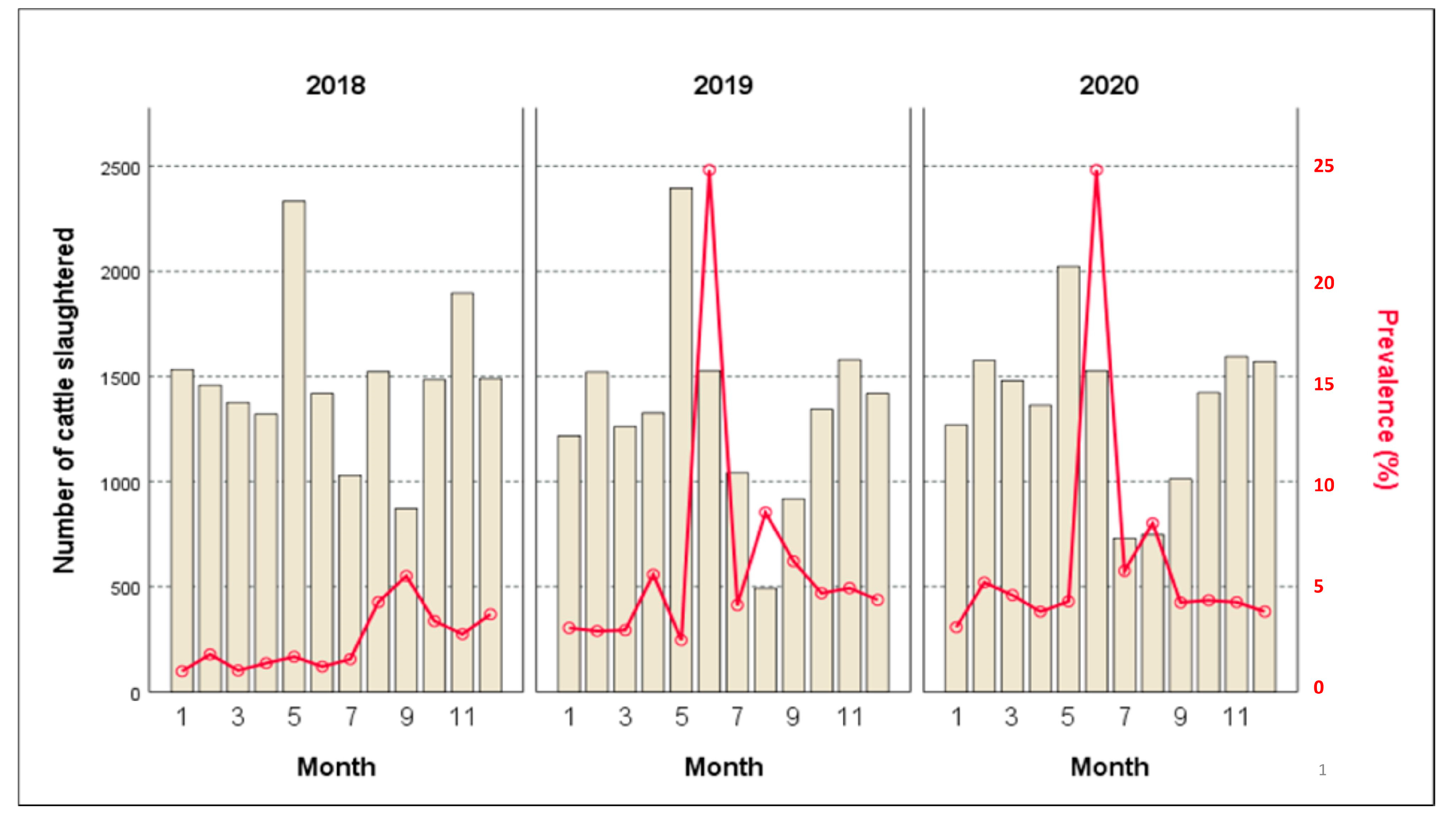 Life 13 00817 g004 Life 13 00817 g004