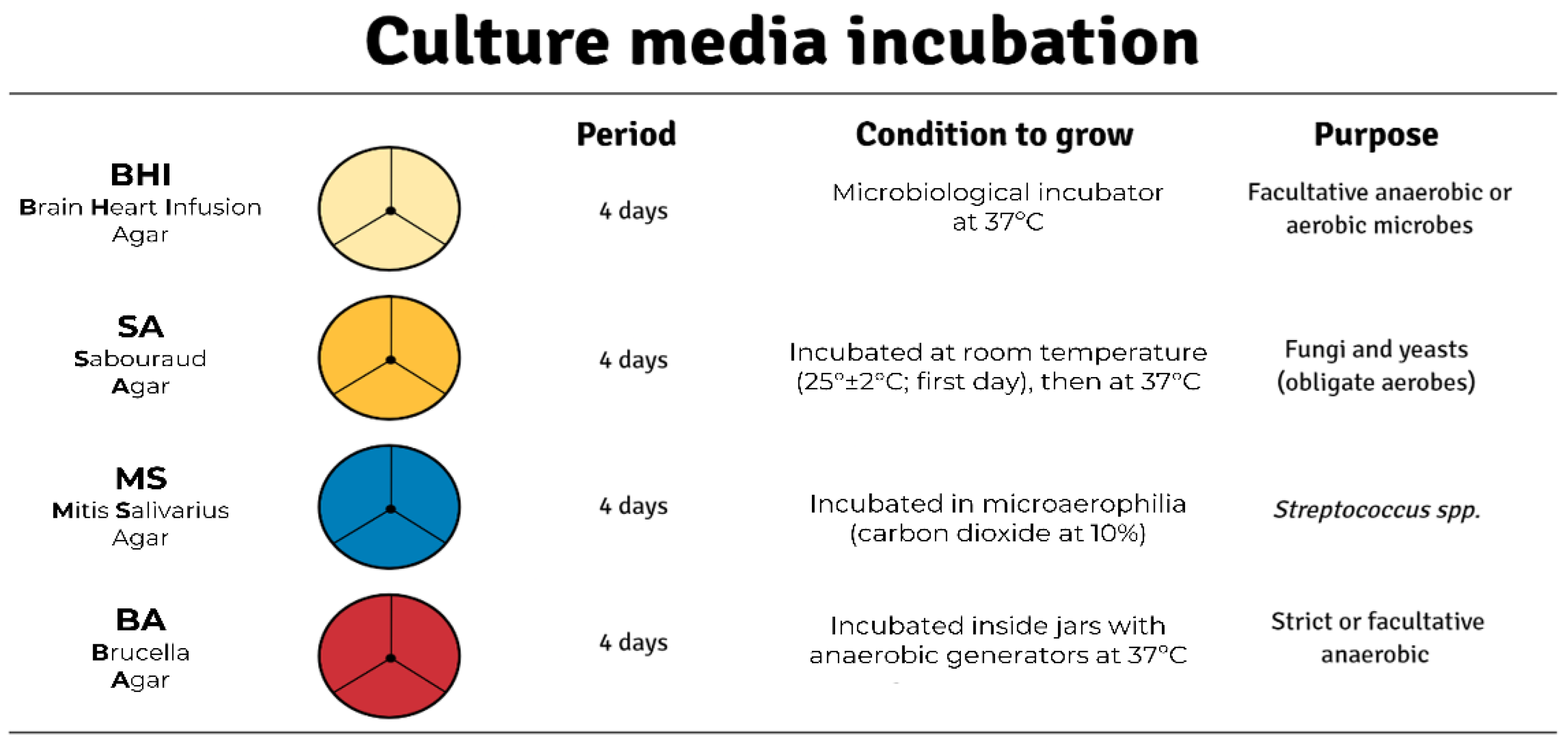 Difference Between Culture and Media in Microbiology