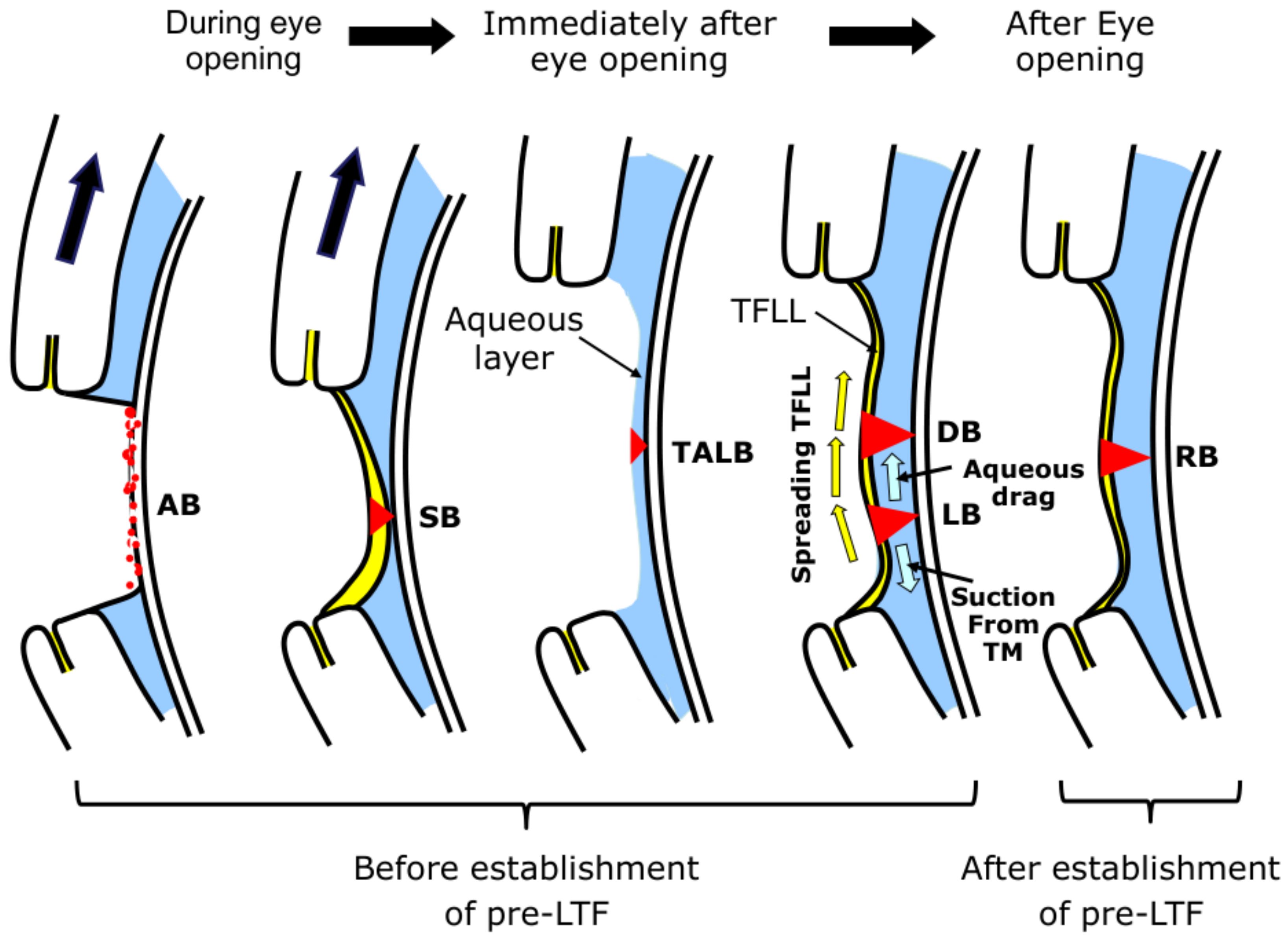 Life 13 00859 g006 Life 13 00859 g006