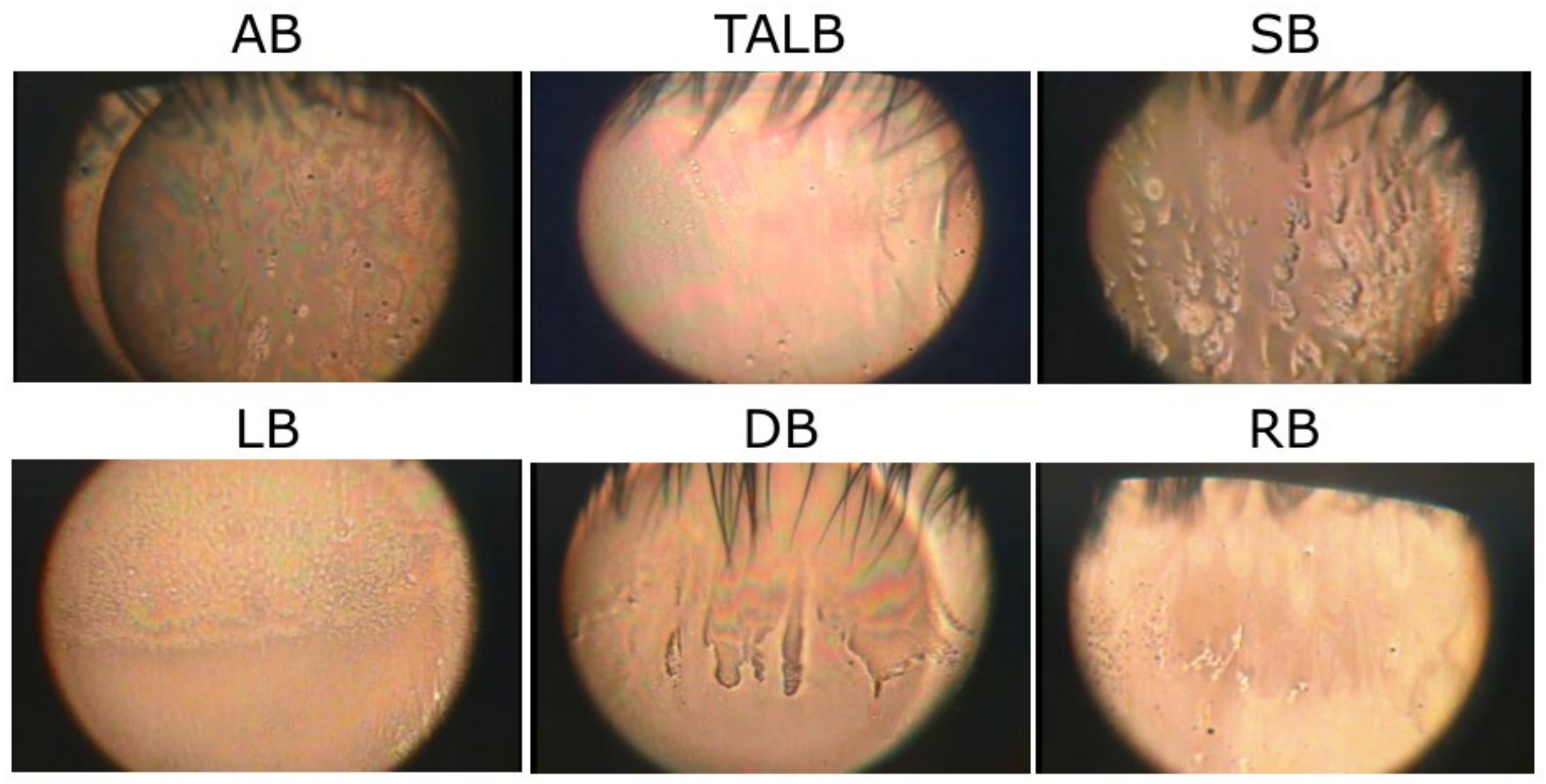 Life 13 00859 g007 Life 13 00859 g007