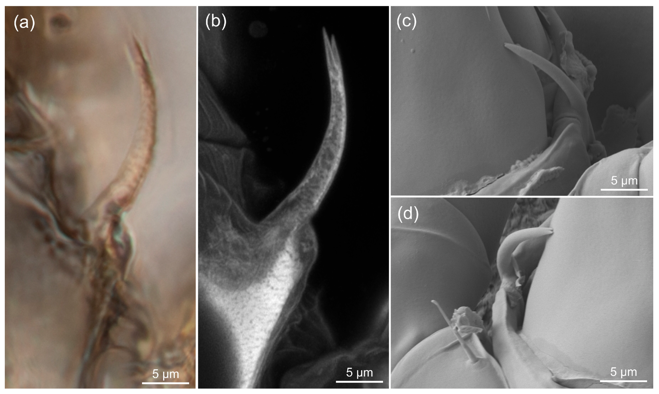 Life 13 00865 g004 Life 13 00865 g004