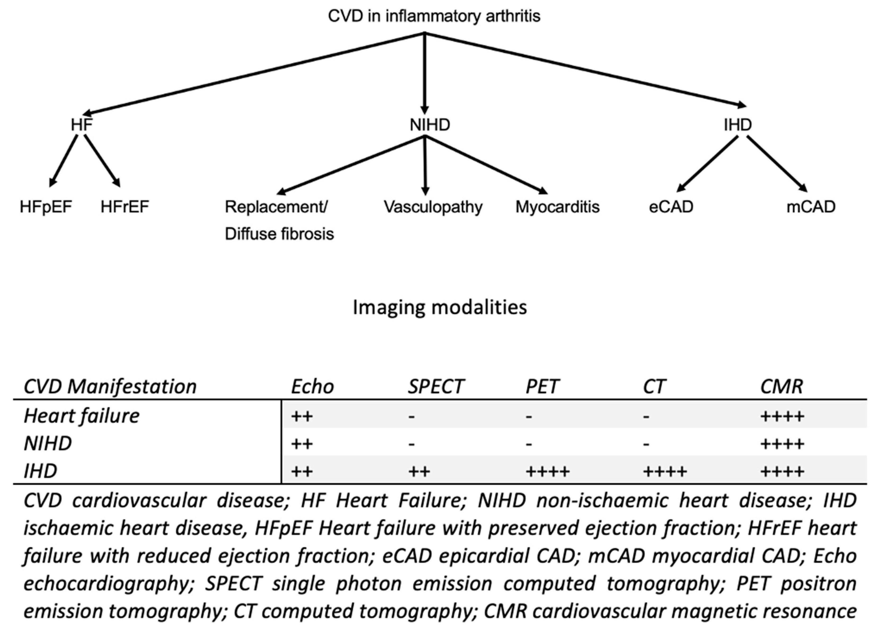 https://www.mdpi.com/life/life-13-00909/article_deploy/html/images/life-13-00909-g001.png