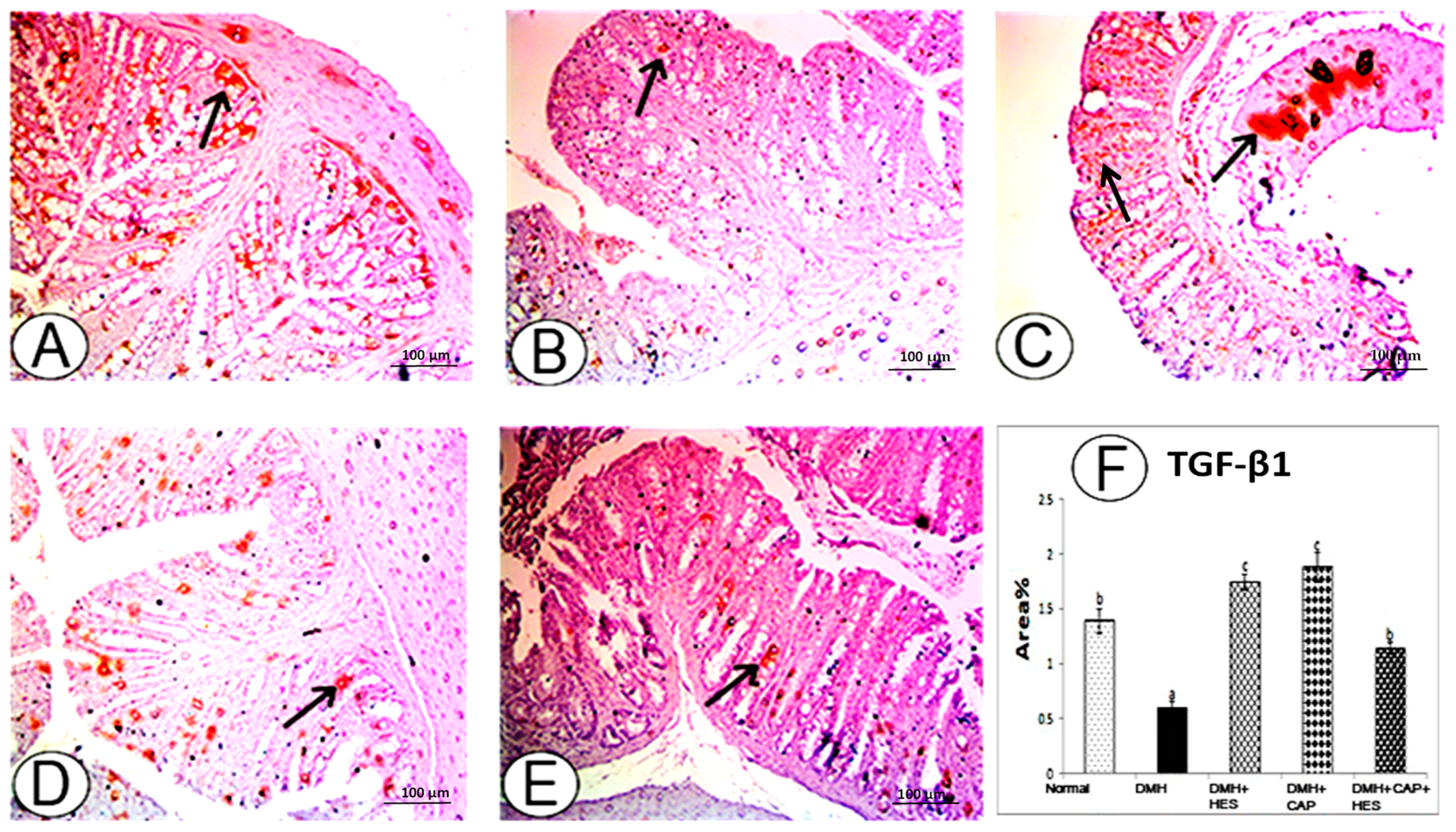 Life 13 00984 g006 Life 13 00984 g006