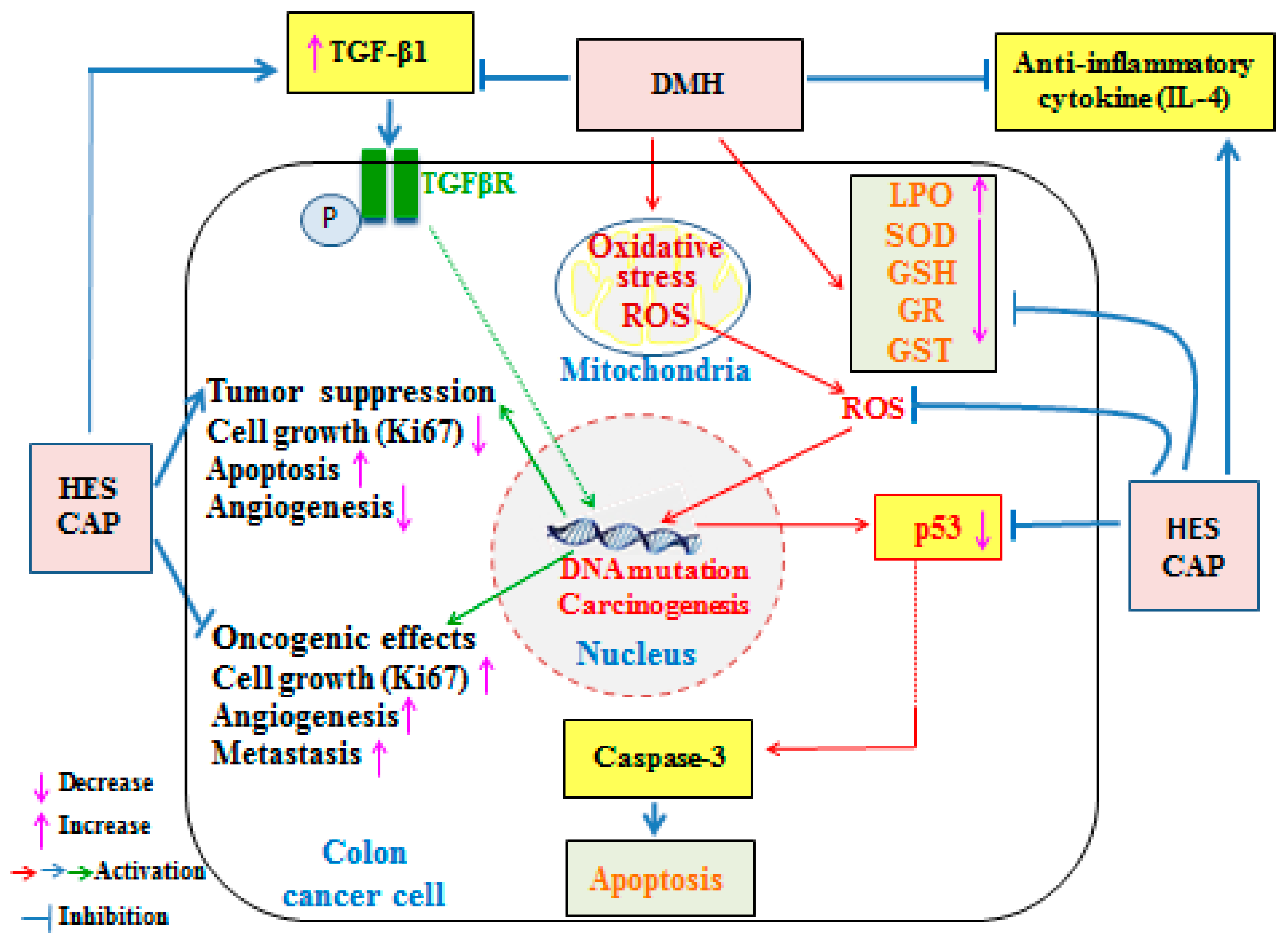 Life 13 00984 g007 Life 13 00984 g007
