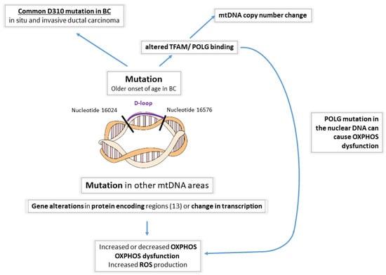 Life | Free Full-Text | The Role of Genetic Mutations in