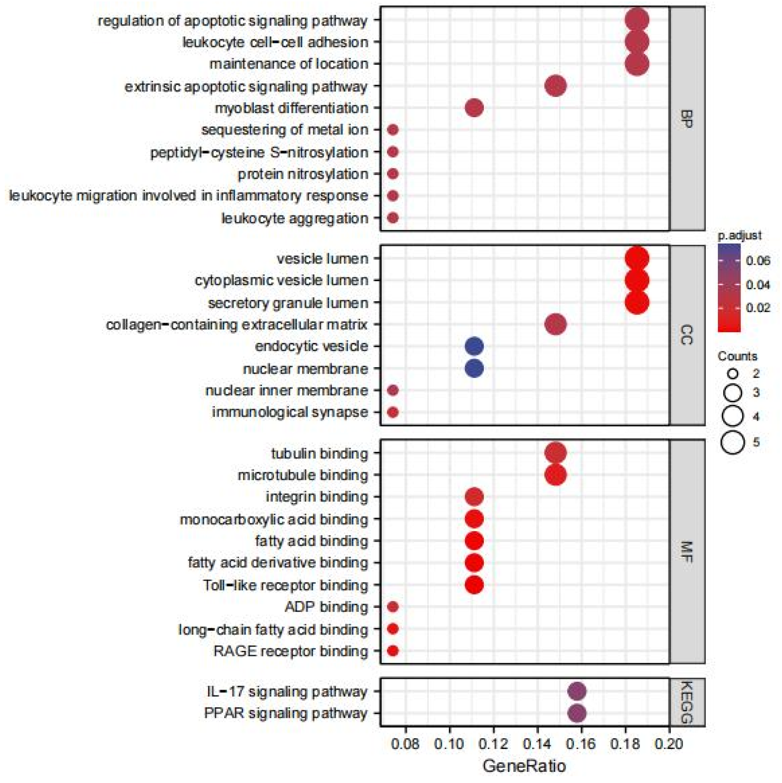 Life 13 00998 g002 Life 13 00998 g002