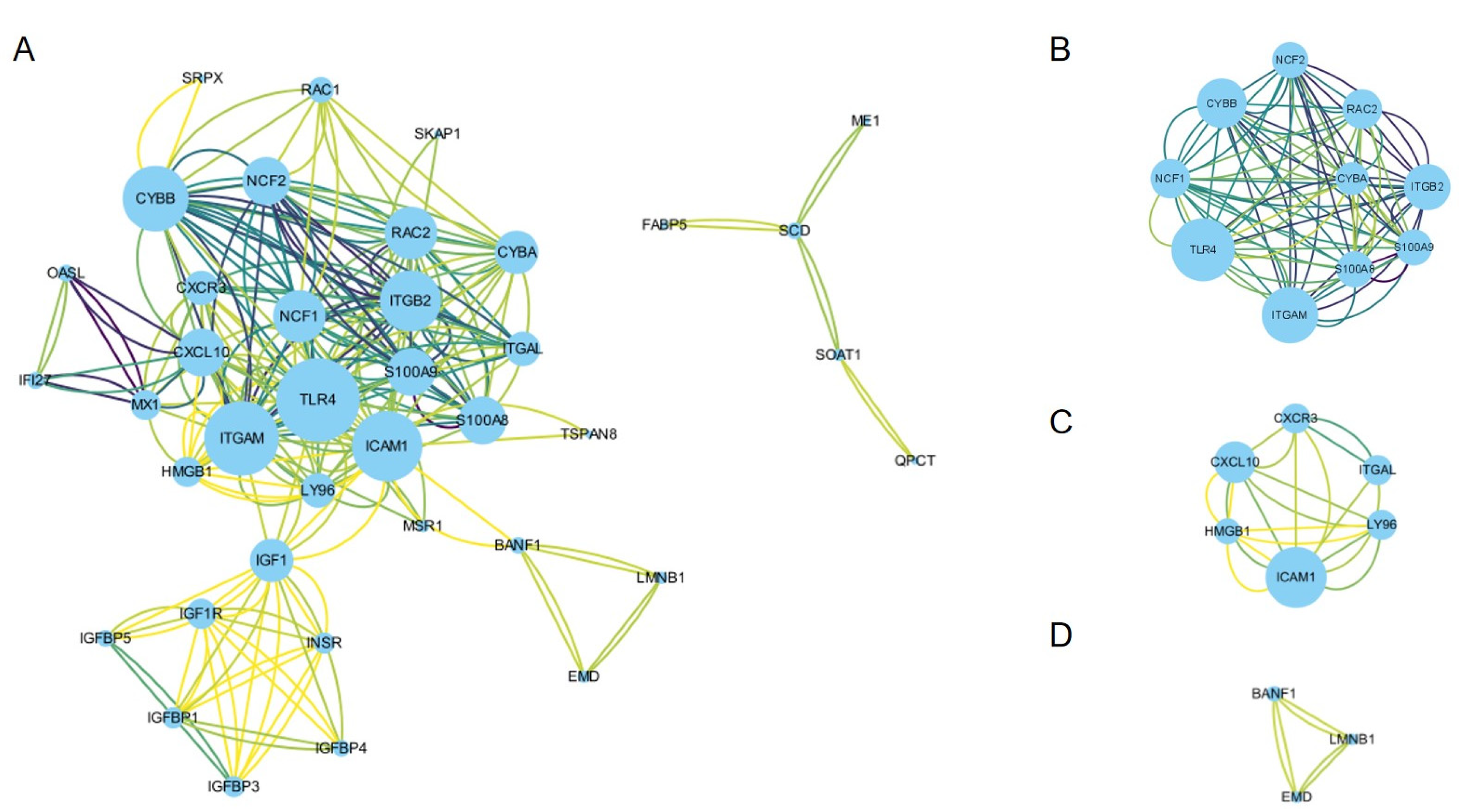 Life 13 00998 g003 Life 13 00998 g003