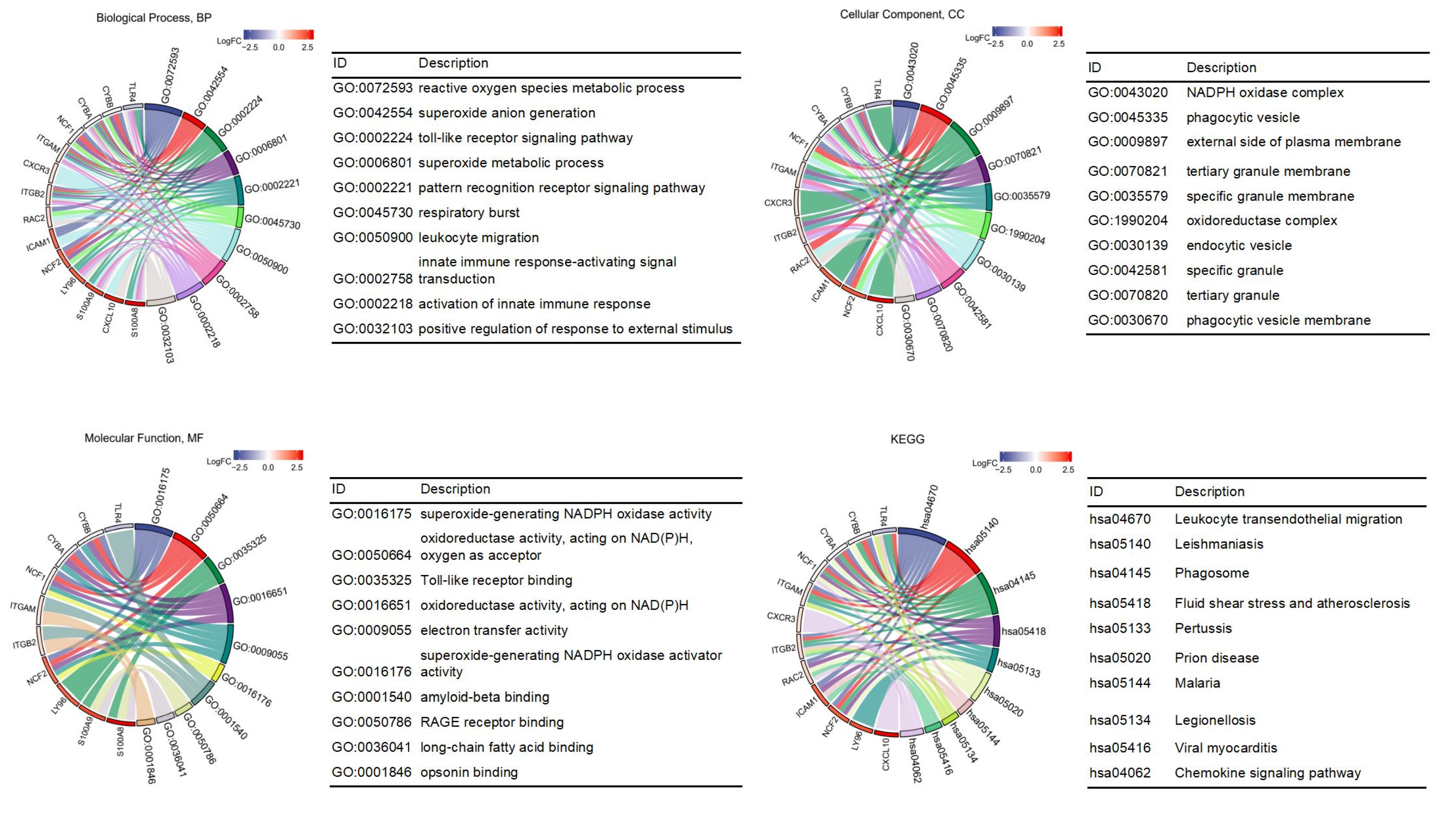 Life 13 00998 g004 Life 13 00998 g004