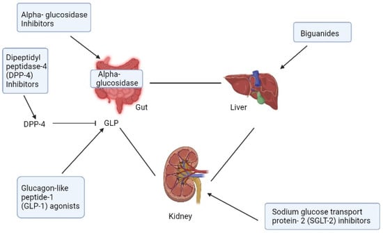 Life | Free Full-Text | A Comprehensive Review on Weight Loss ...